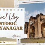 Historic Ahilyanagar with pets