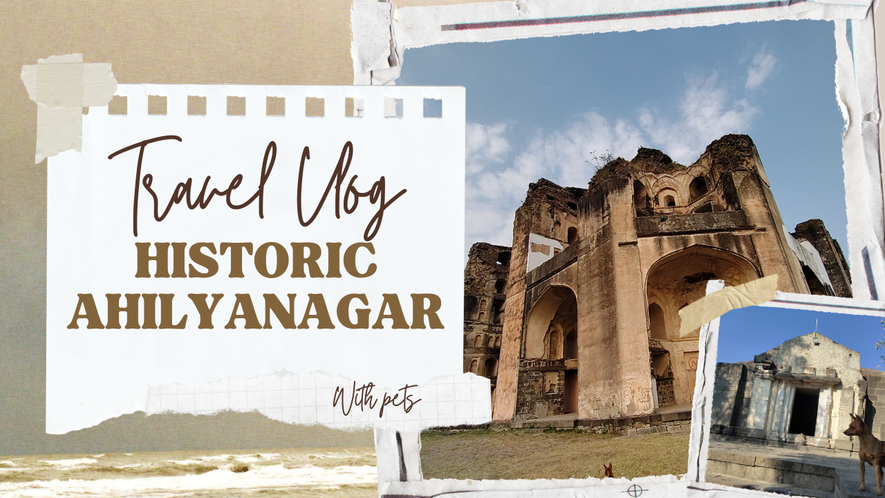 Historic Ahilyanagar with pets