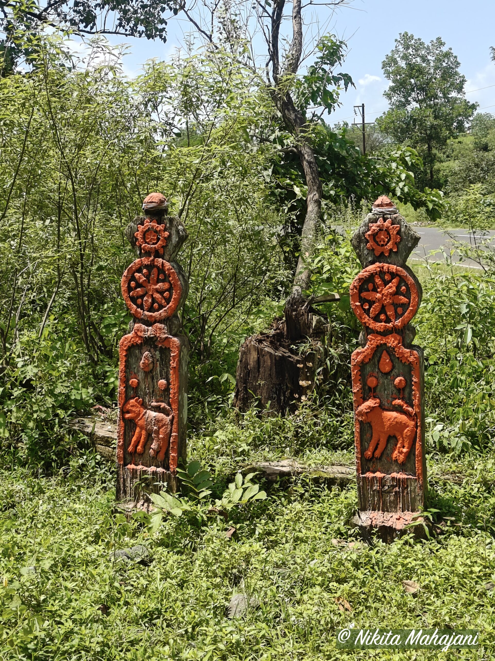 Waghdev steles of the tribals