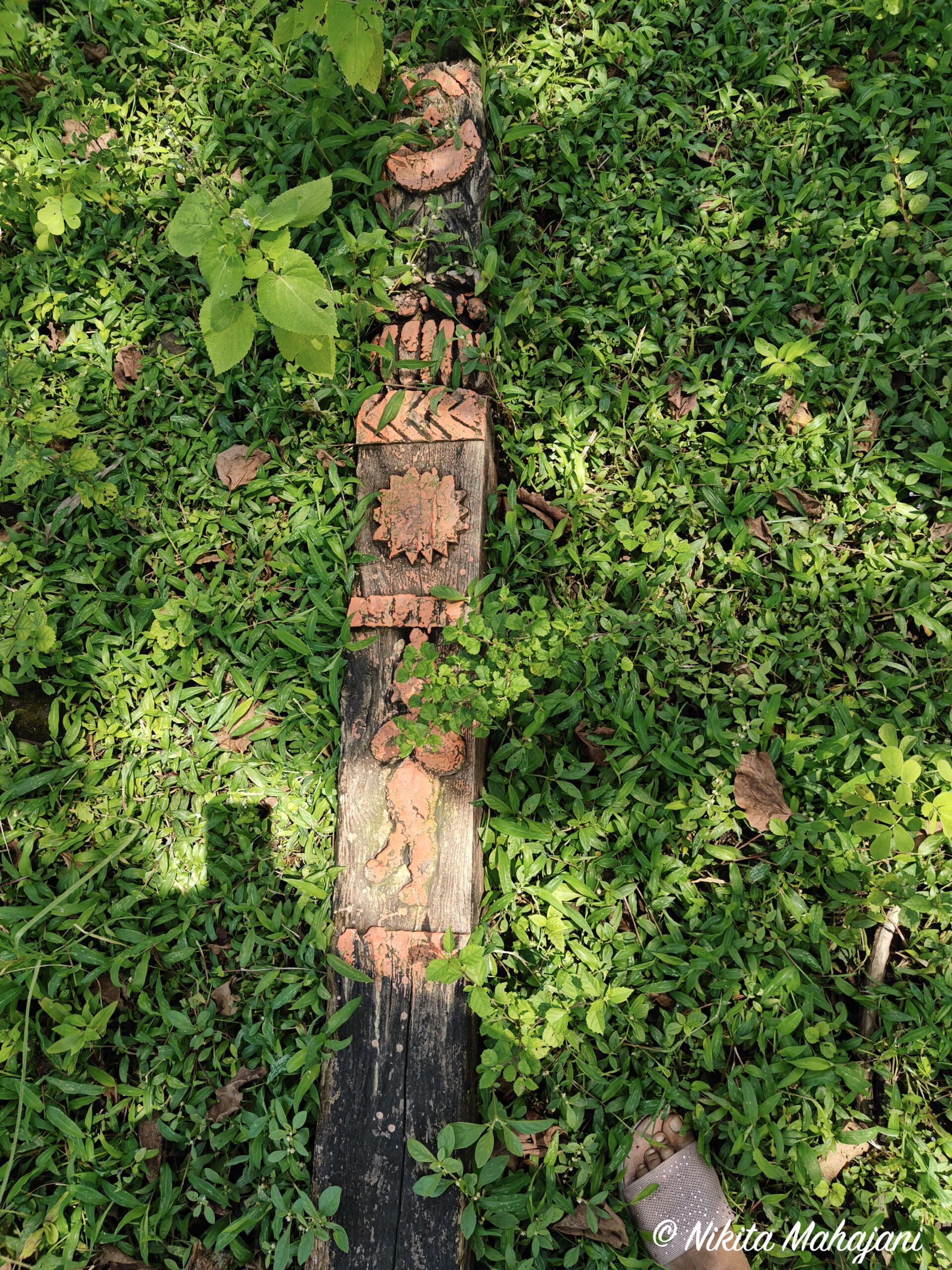Waghdev steles of the tribals