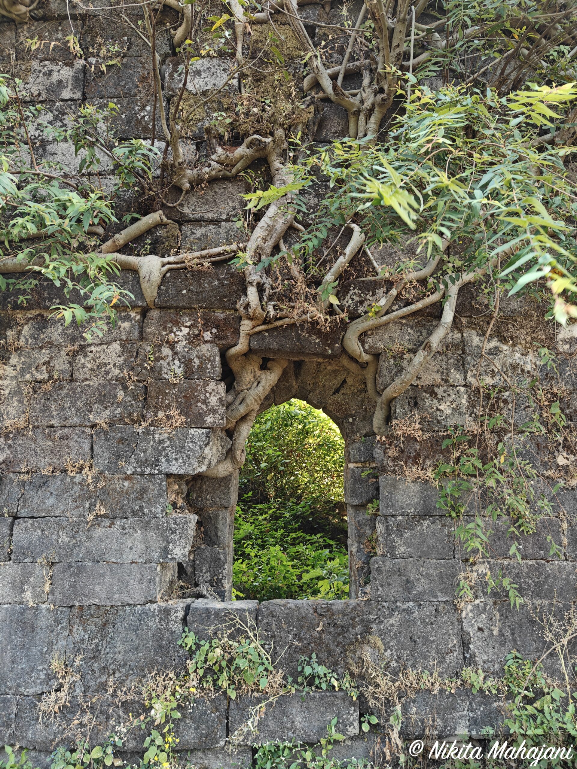 Sajjangad Satara 