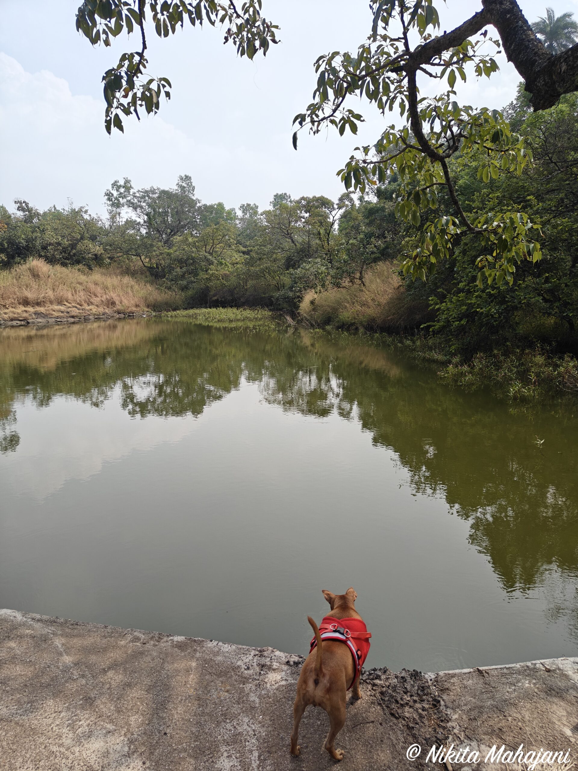 Ajinkyatara , Satara.