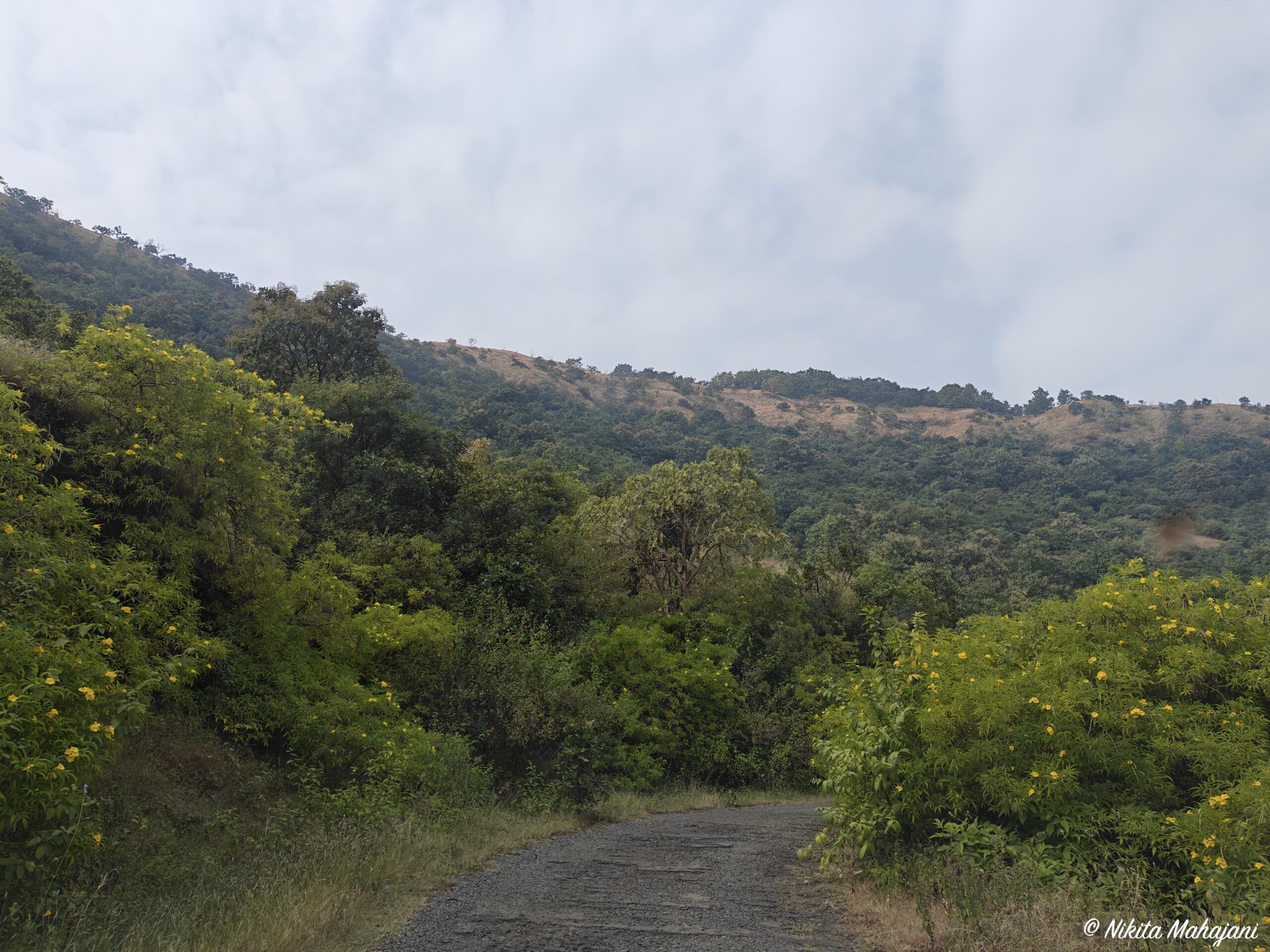  Pateshwar temple , Satara.