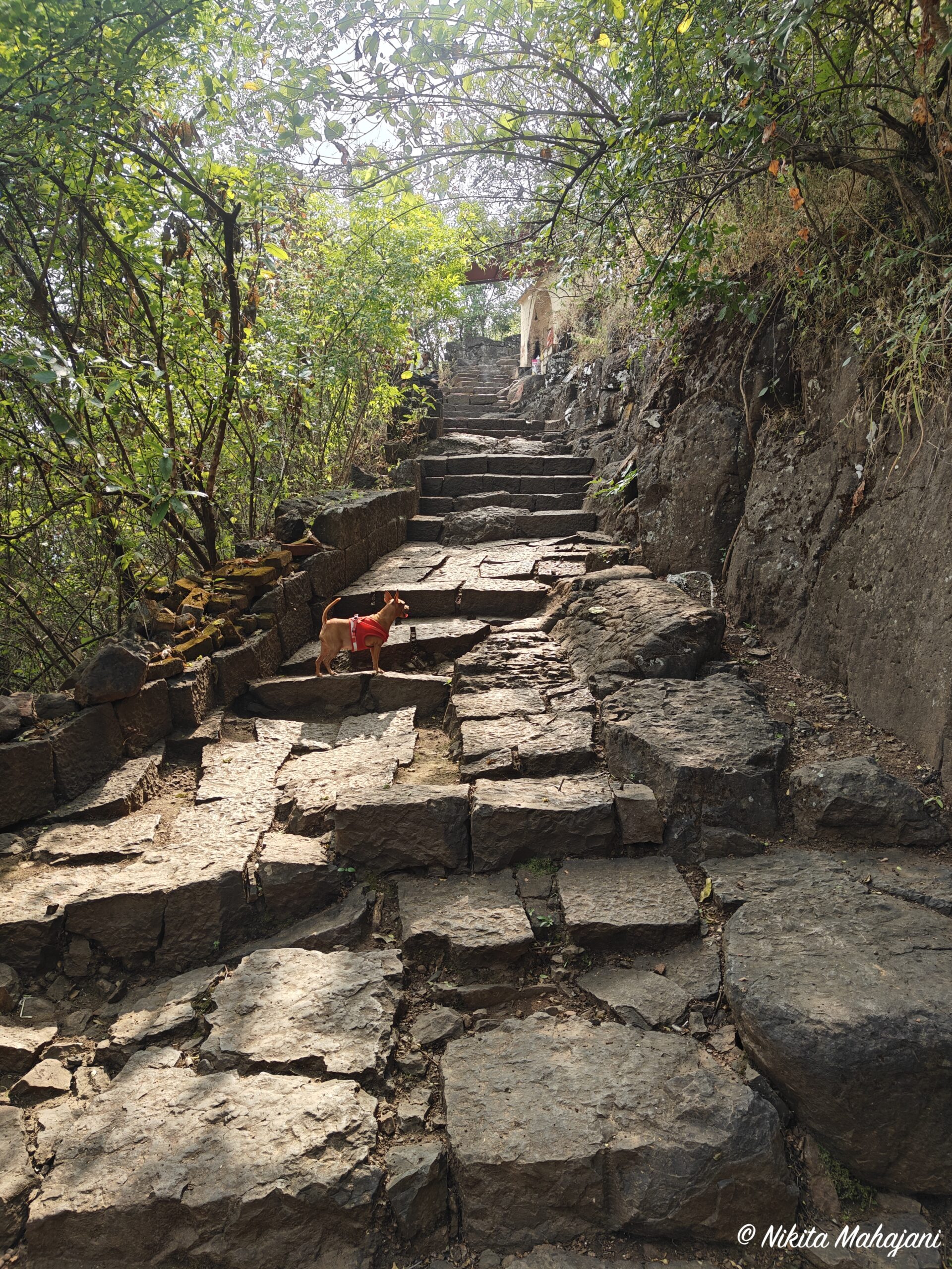  Pateshwar temple , Satara.