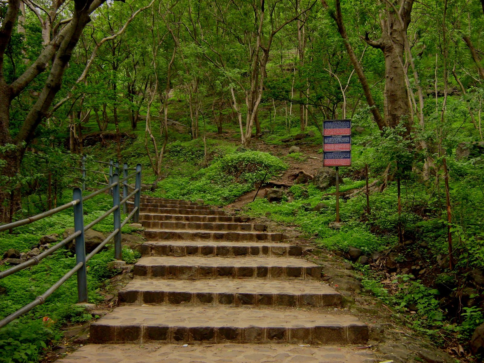 Short trek to Pandav Leni 
