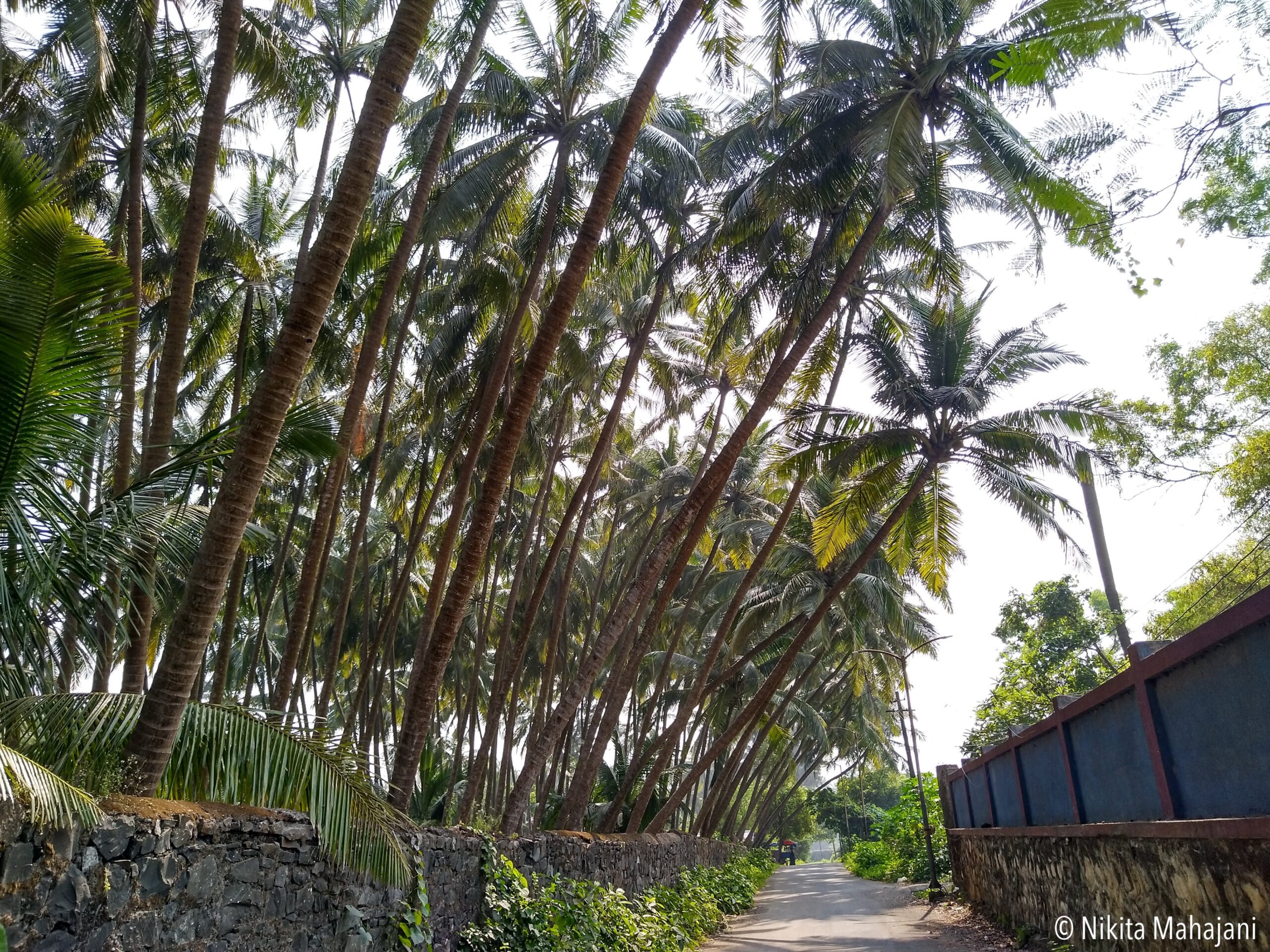 Nagaon beach