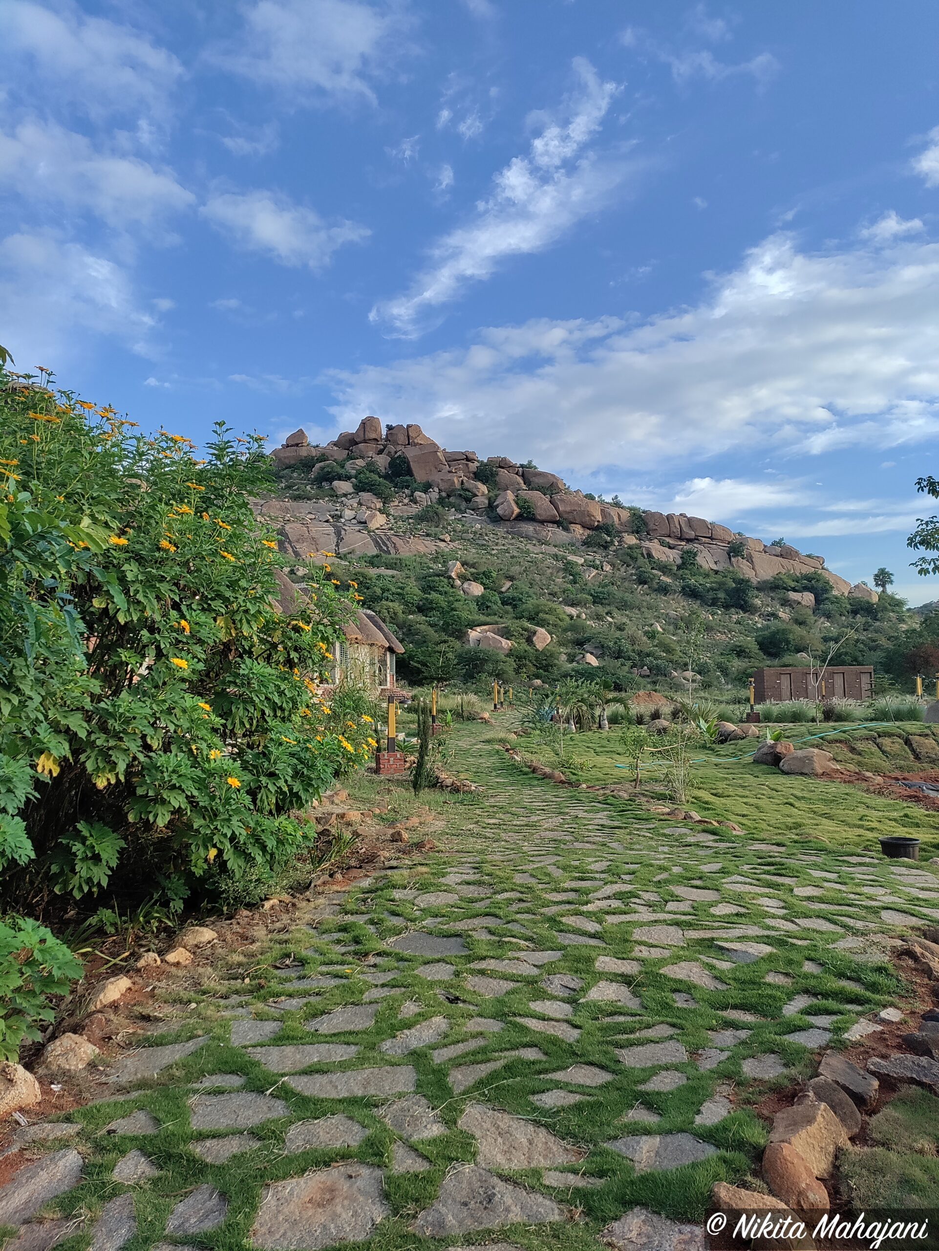 Goan Corner (Zostel Gangavathi)