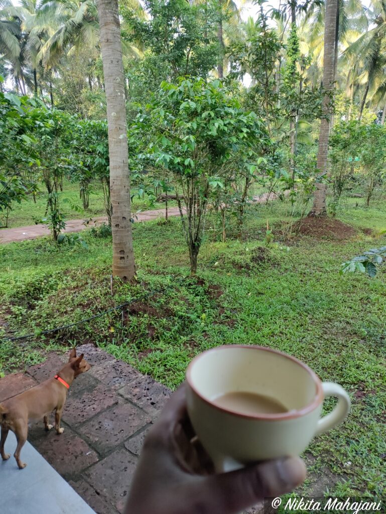 Orchard Resort, Belagavi