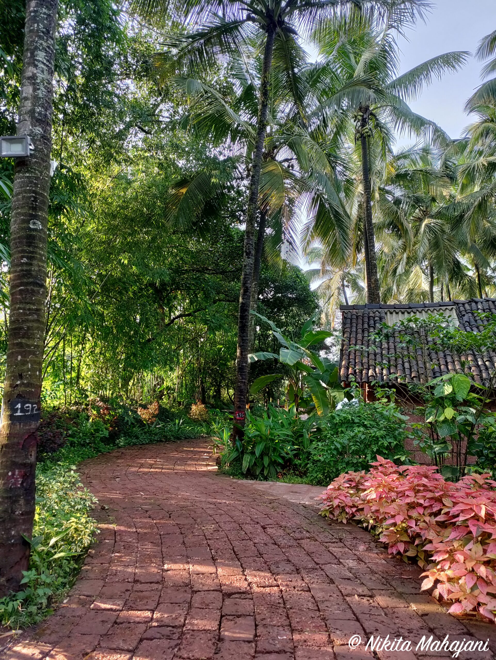Orchard Resort, Belagavi