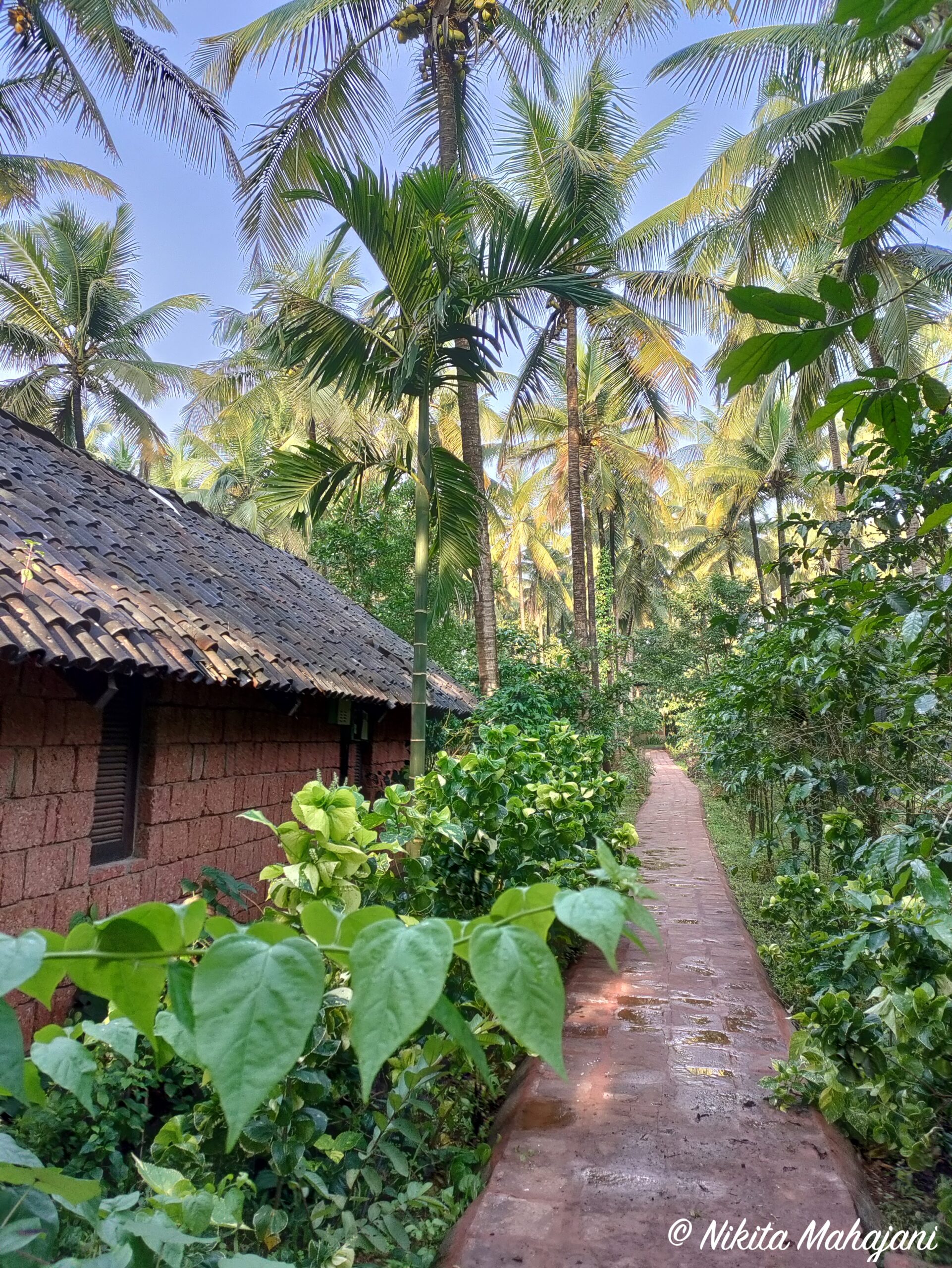 Orchard Resort, Belagavi