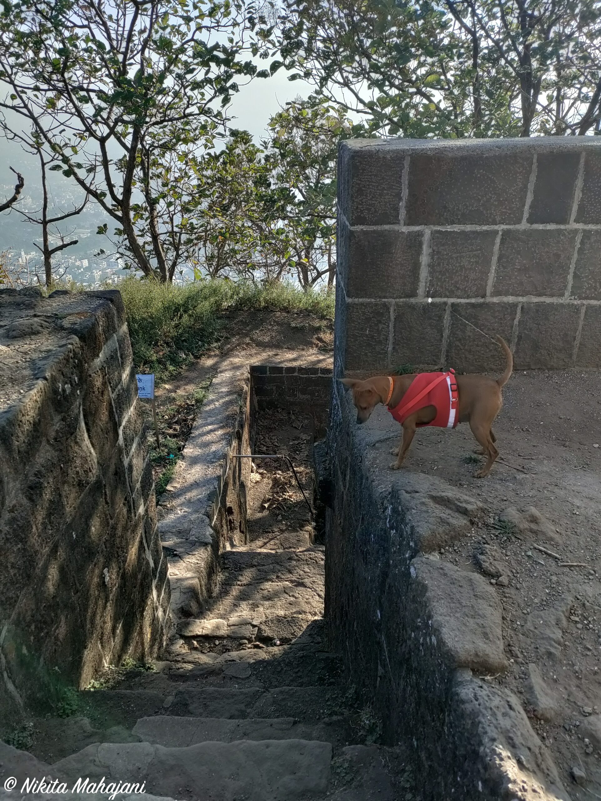 Shivneri Fort, Junnar
