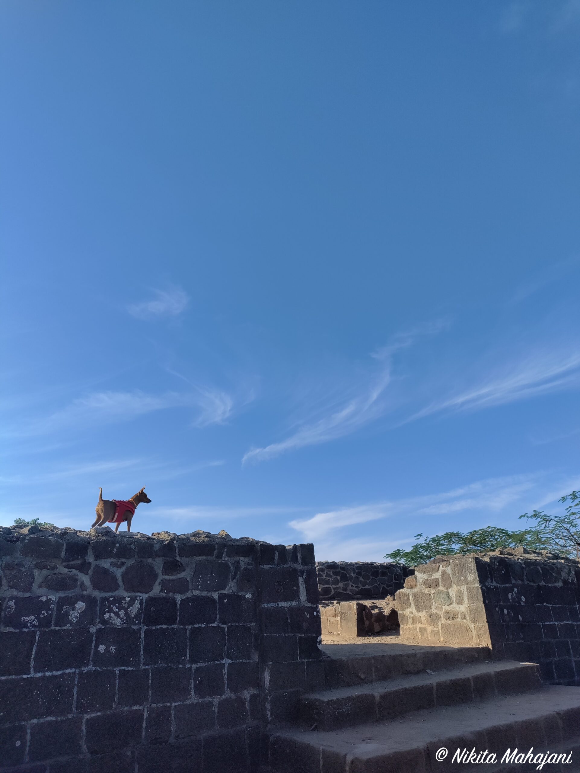Shivneri Fort, Junnar