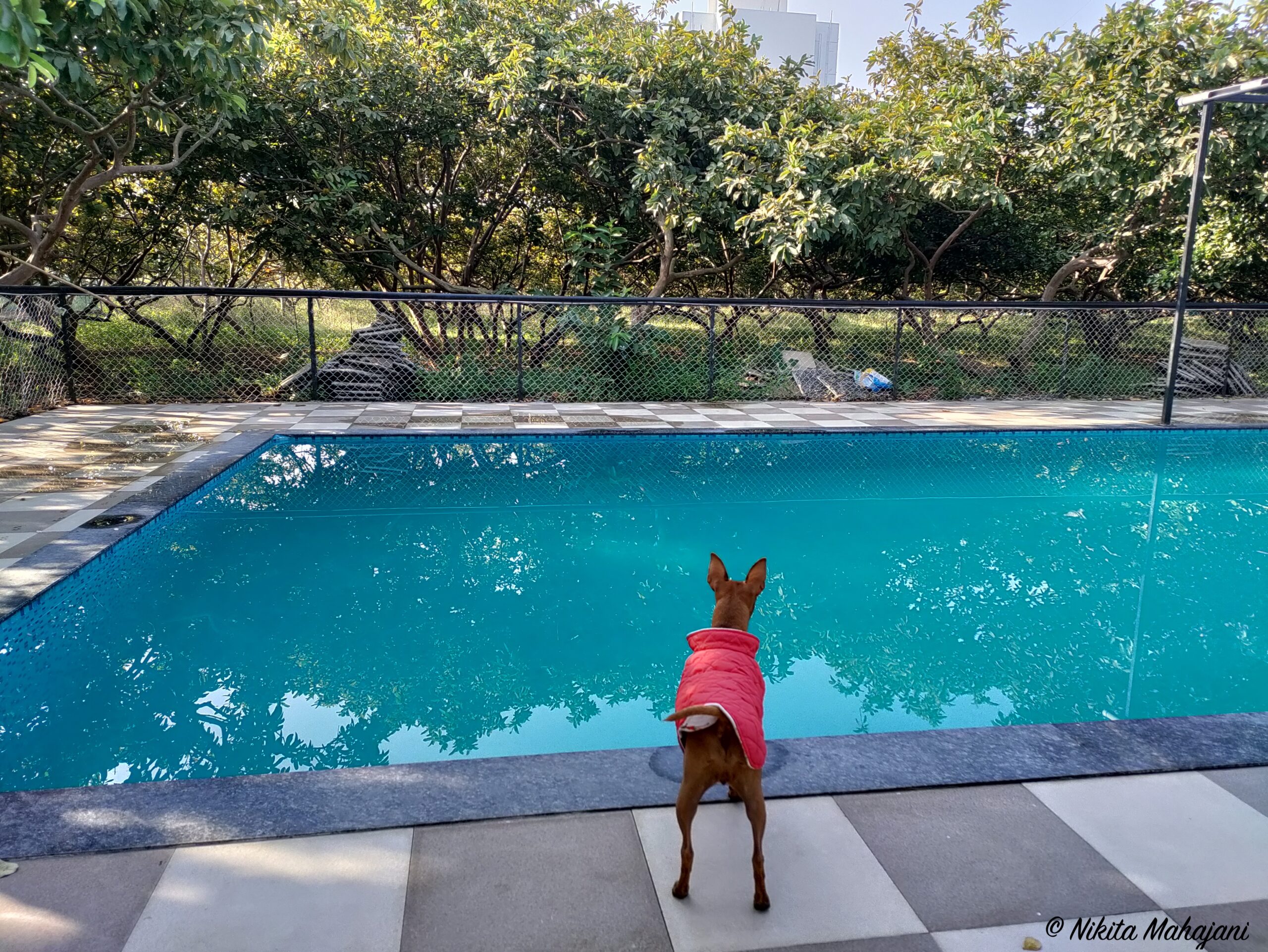 Raghunandan Resort, Nashik