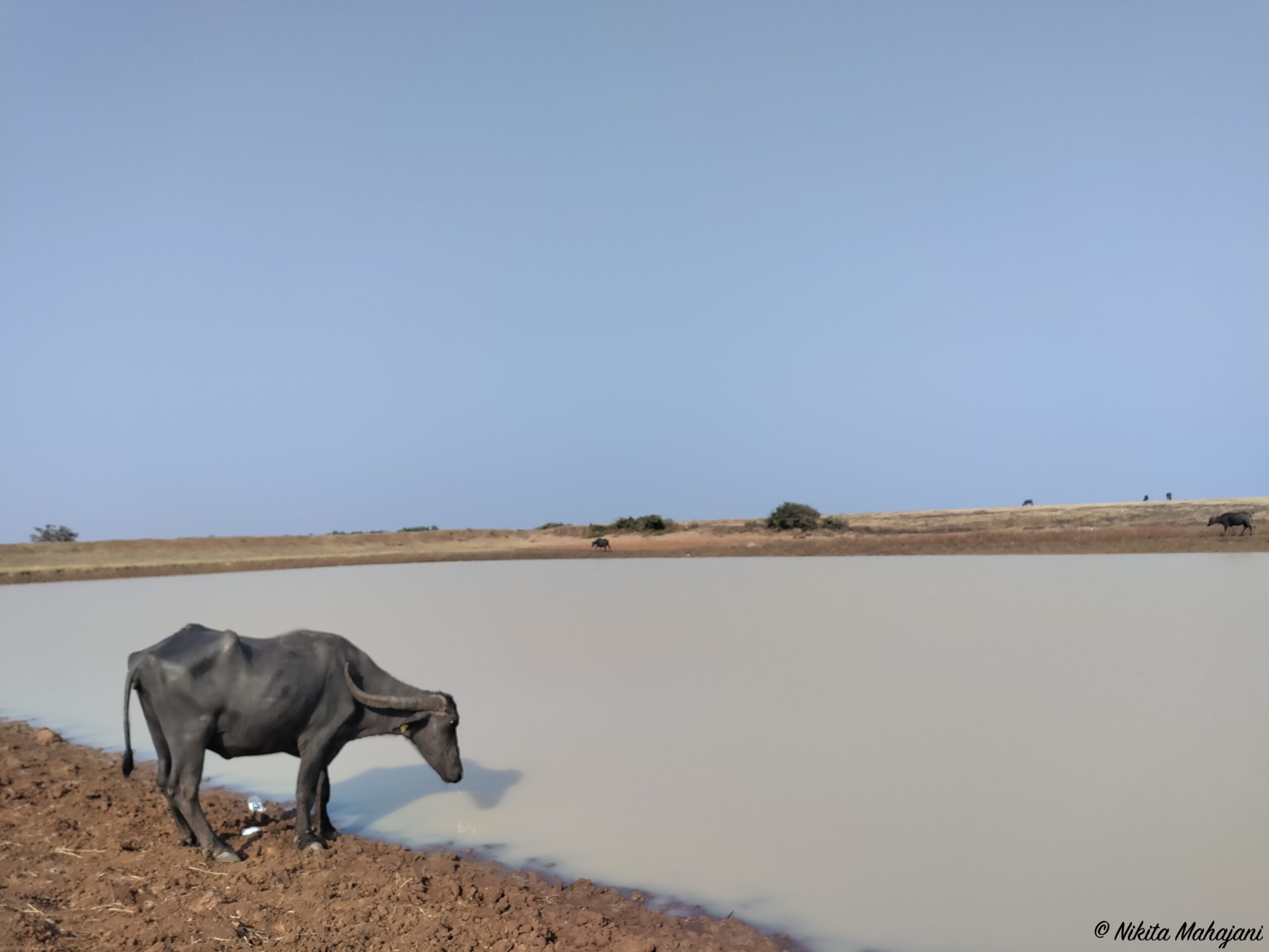 Masai Plateau 
