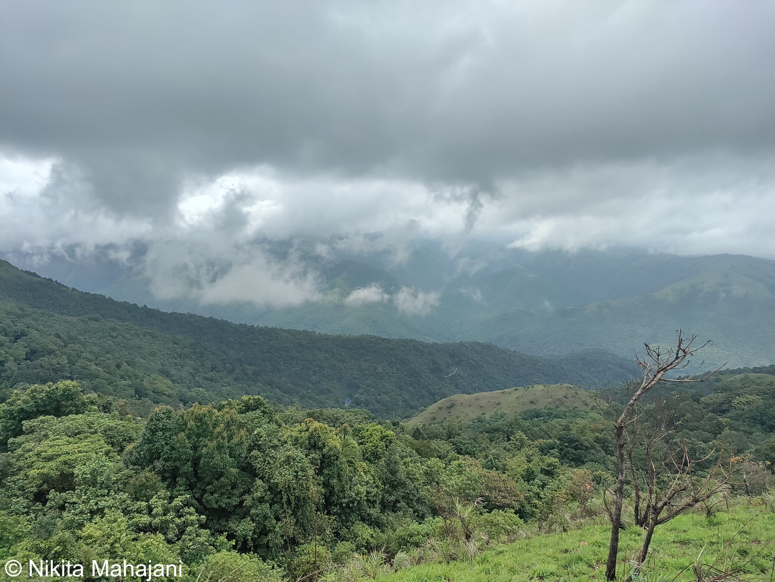Kaginahare view point
