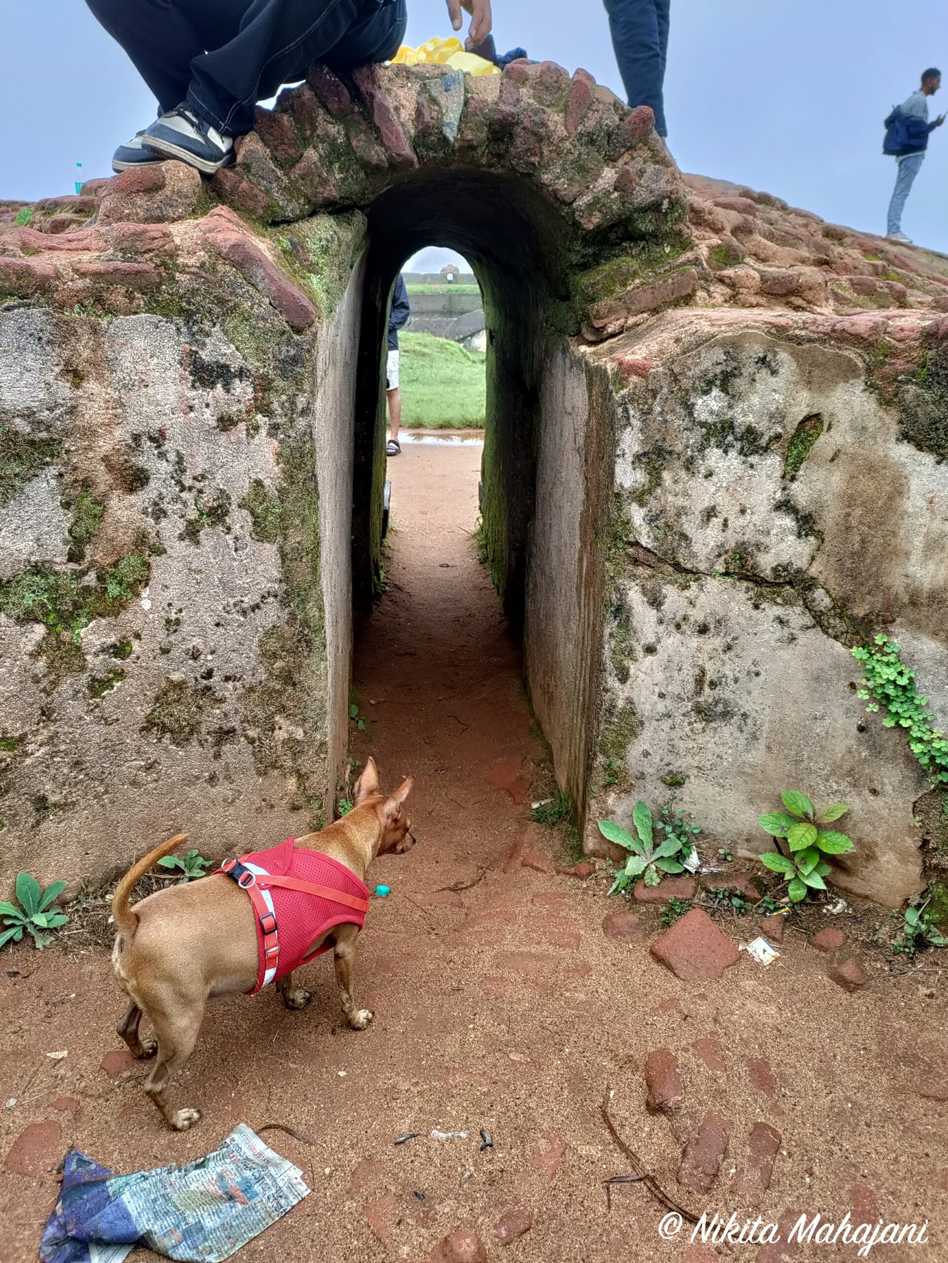 Manjarabad fort