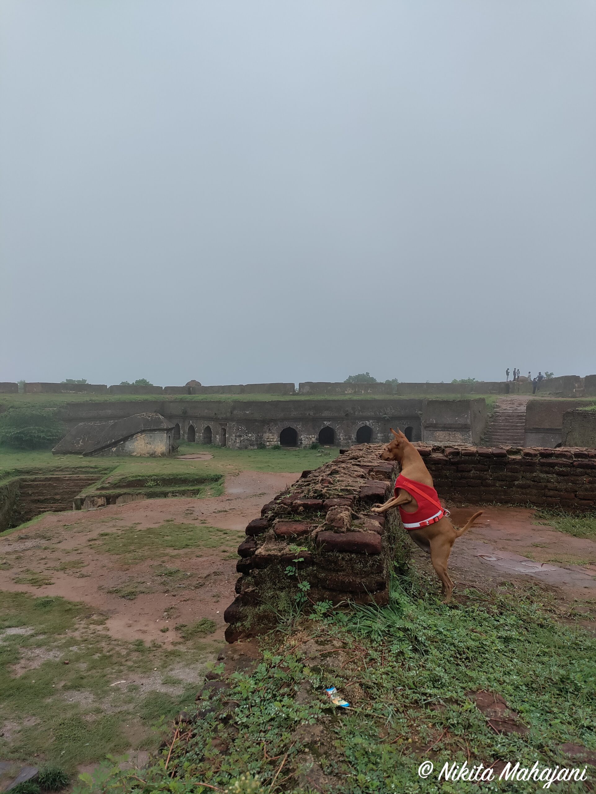 Manjarabad fort