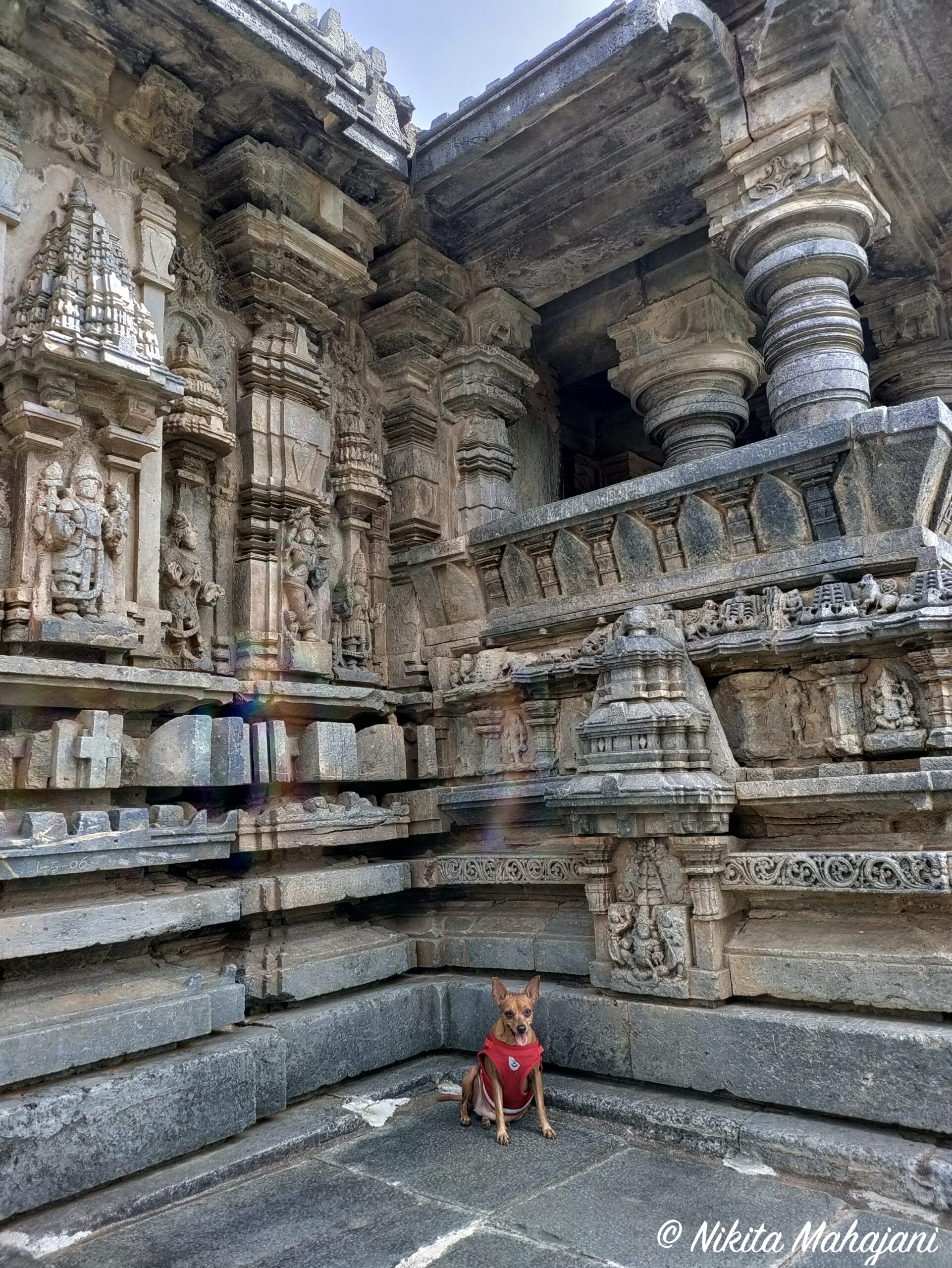 Bucheshwara Temple
