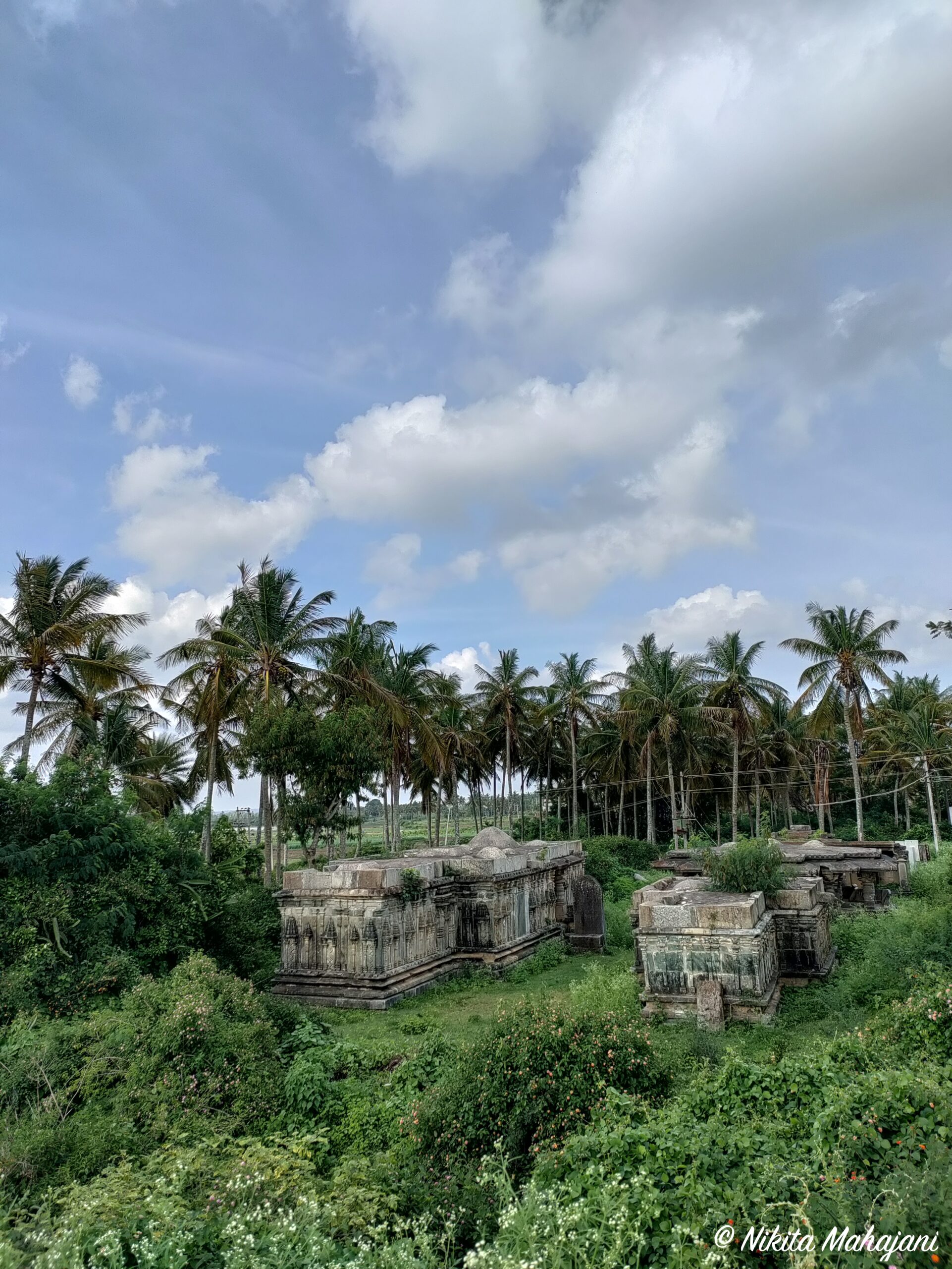 Twin temples of Sri Govindeshwara and Sri Nageshwara in Koravangala, Hassan