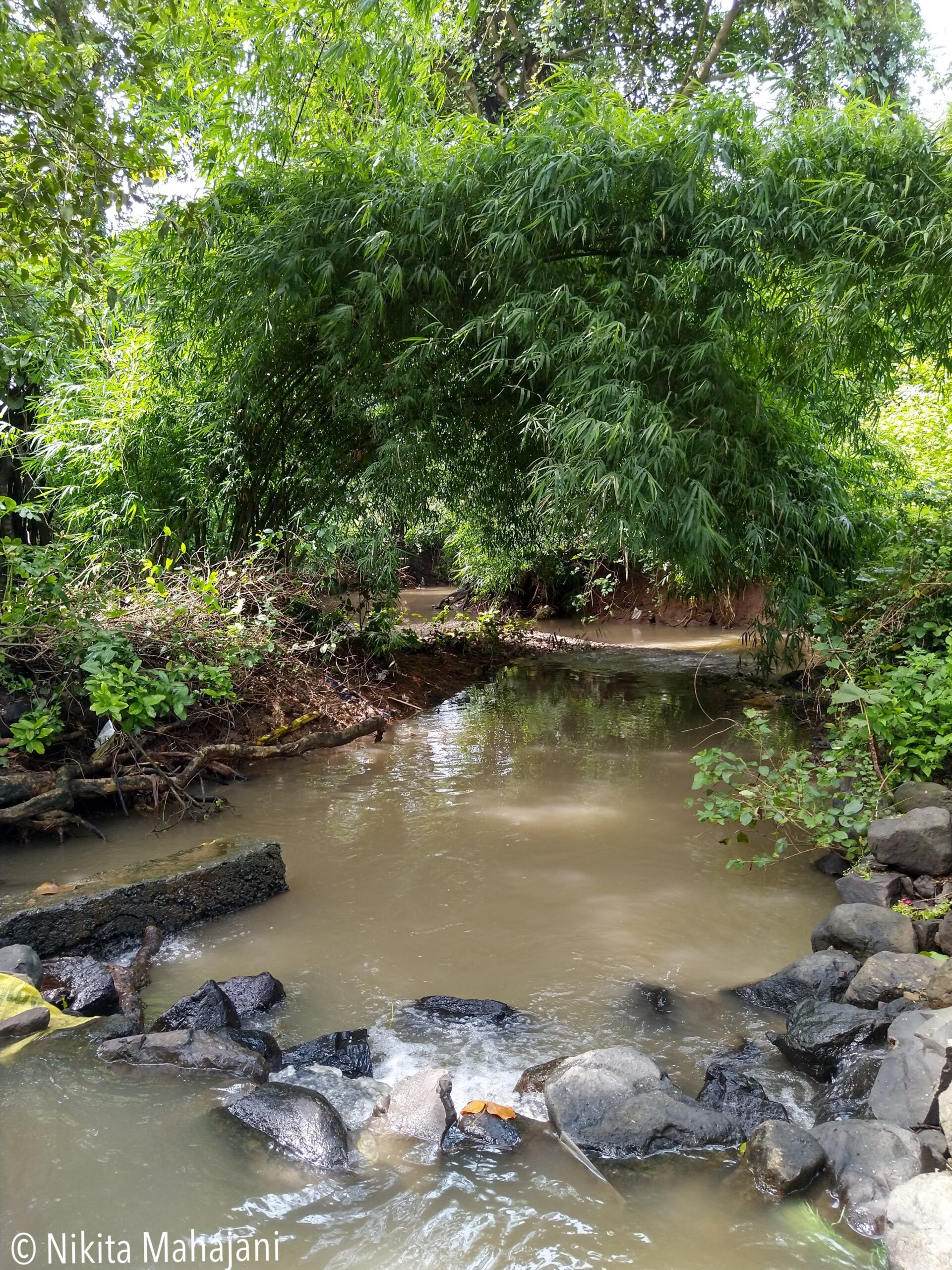 Siddheshwar Waterfall