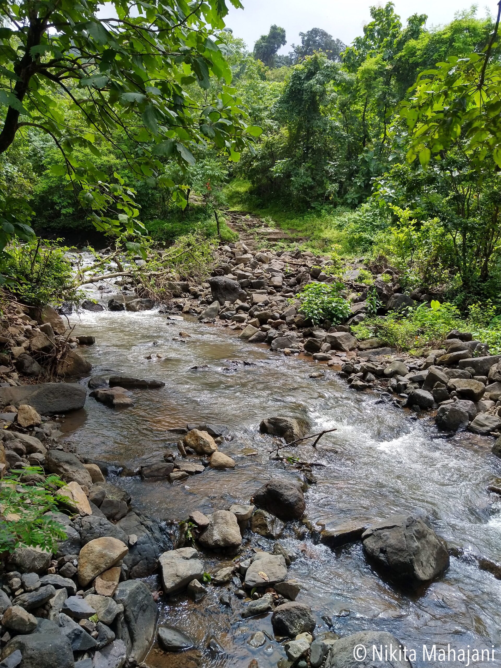 Siddheshwar Waterfall