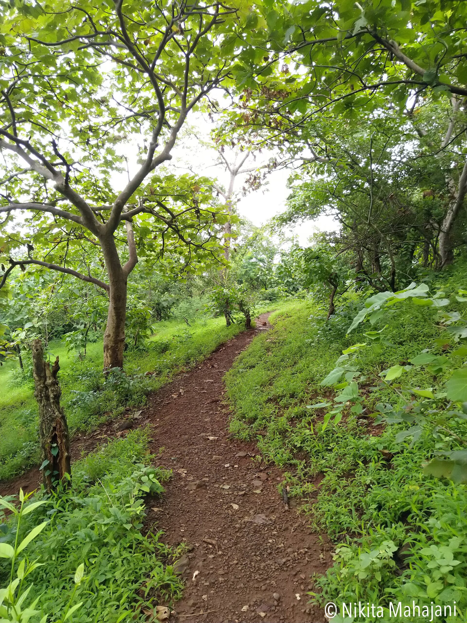 Siddheshwar Waterfall