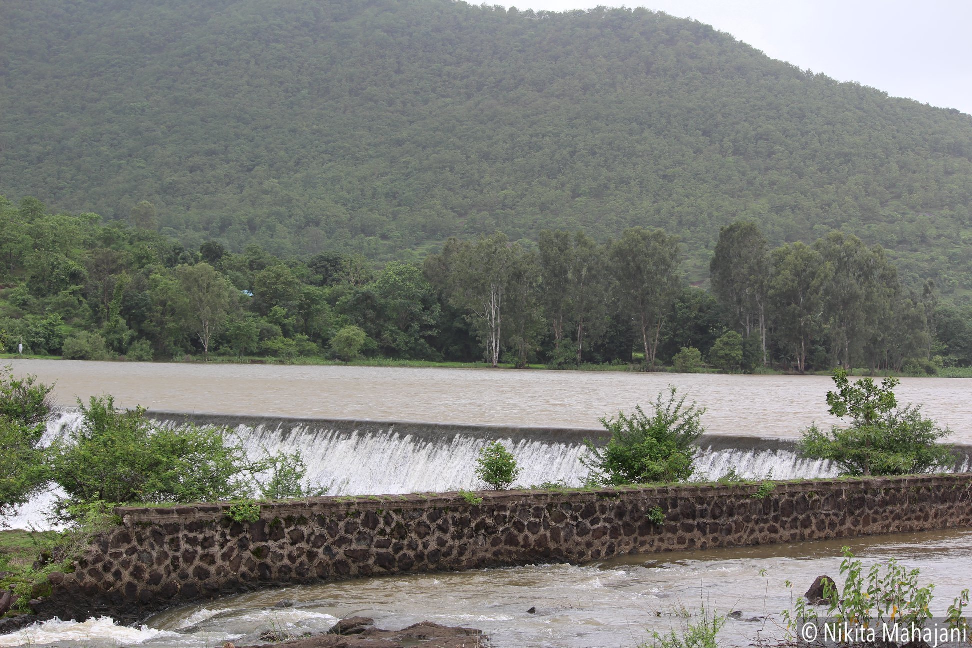 Rihegaon Dam