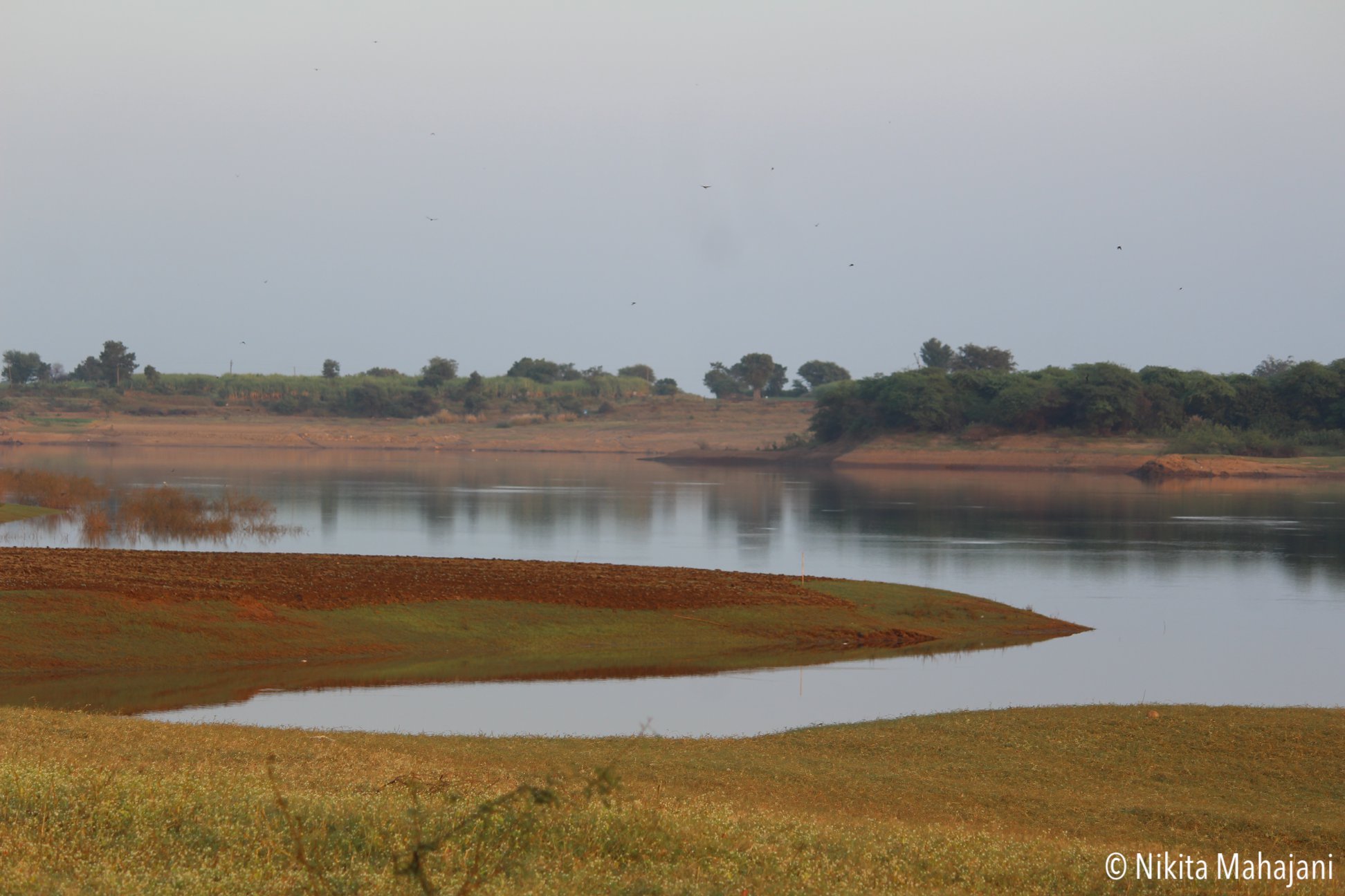 Veer dam, Sarola, Pune
