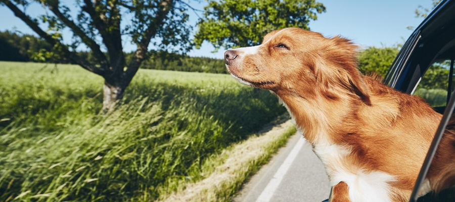 10 Popular Vacation Destinations to Skip – And Where To Go Instead