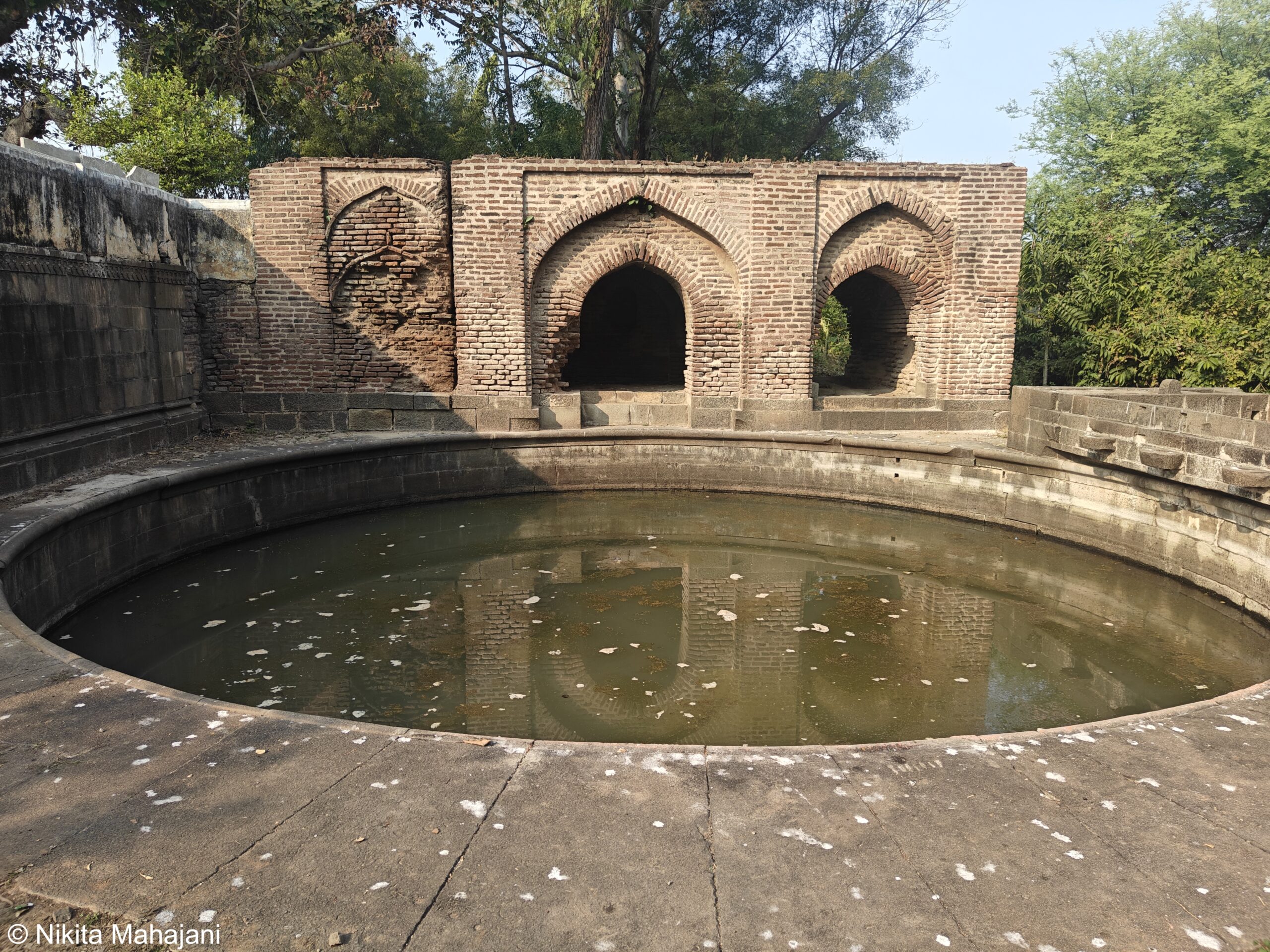 Sajana Barav, Sindkhed Raja.