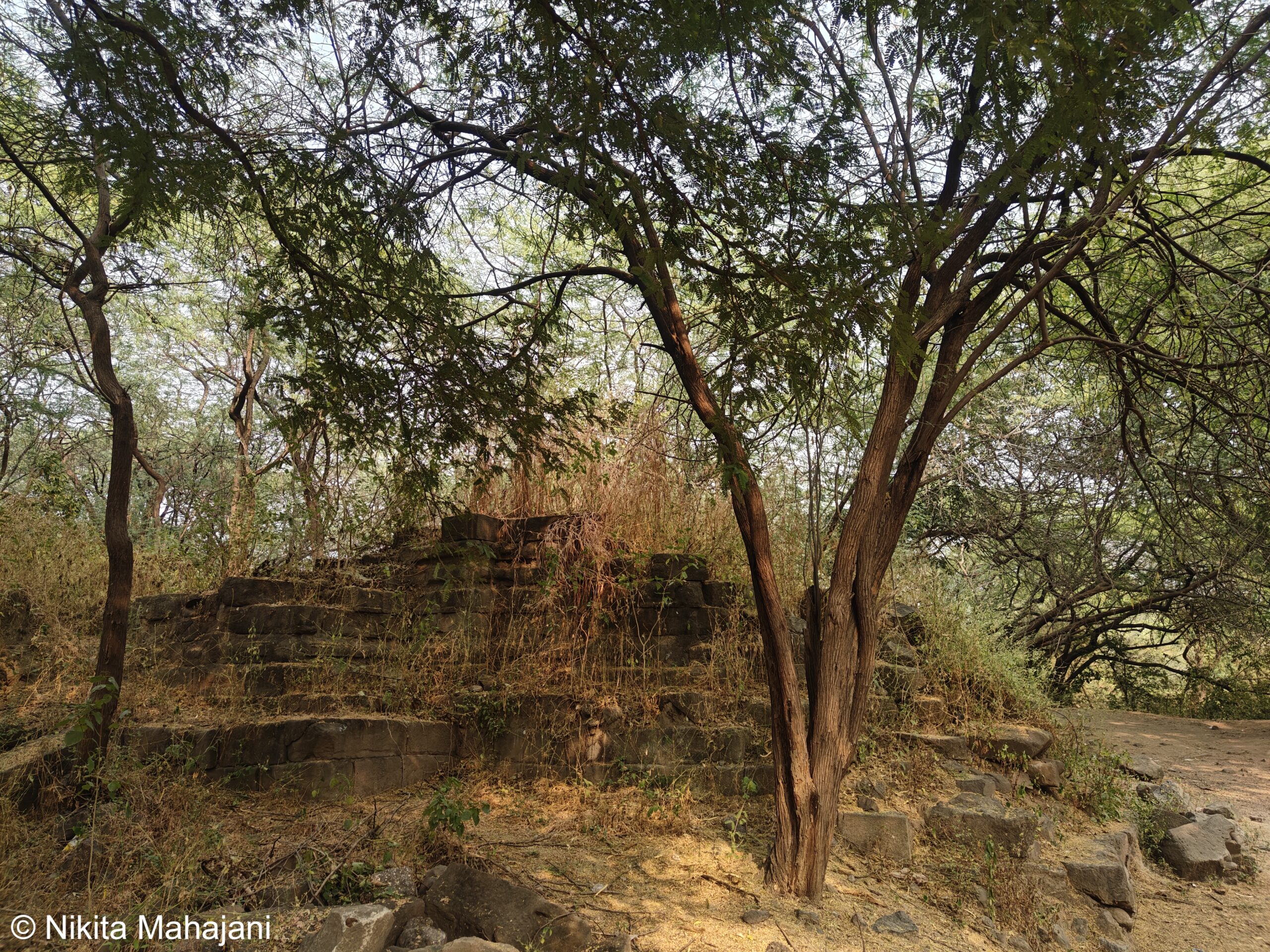 Ancient Hemadpanthi Mahadev Mandir, Patana (Chalisgaon).