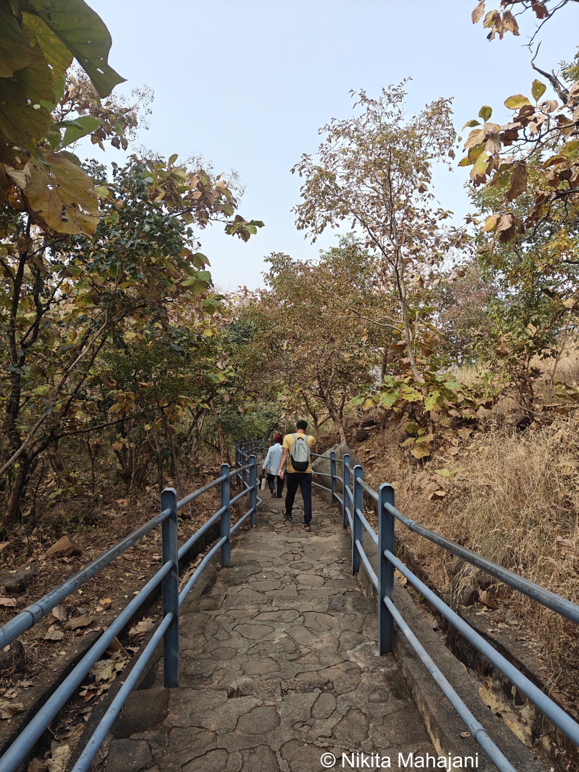 Pitalkhora Buddhist cave, Sambhajinagar.