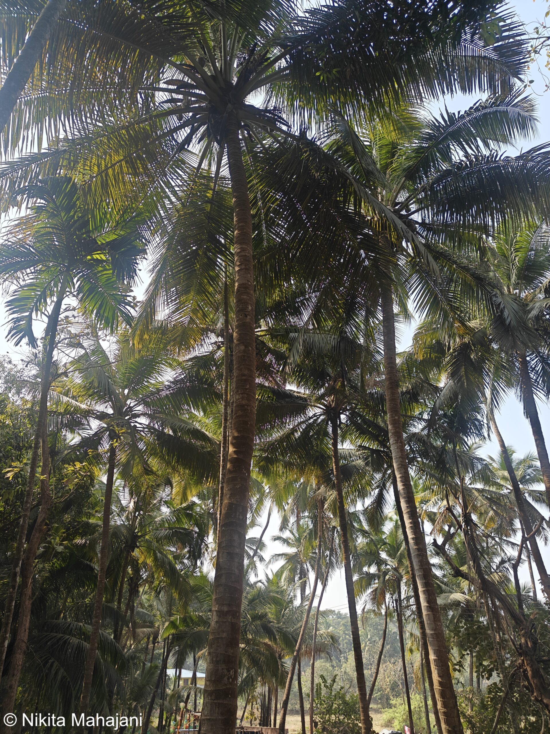 Datta mandir, Kolambe, Ratnagiri