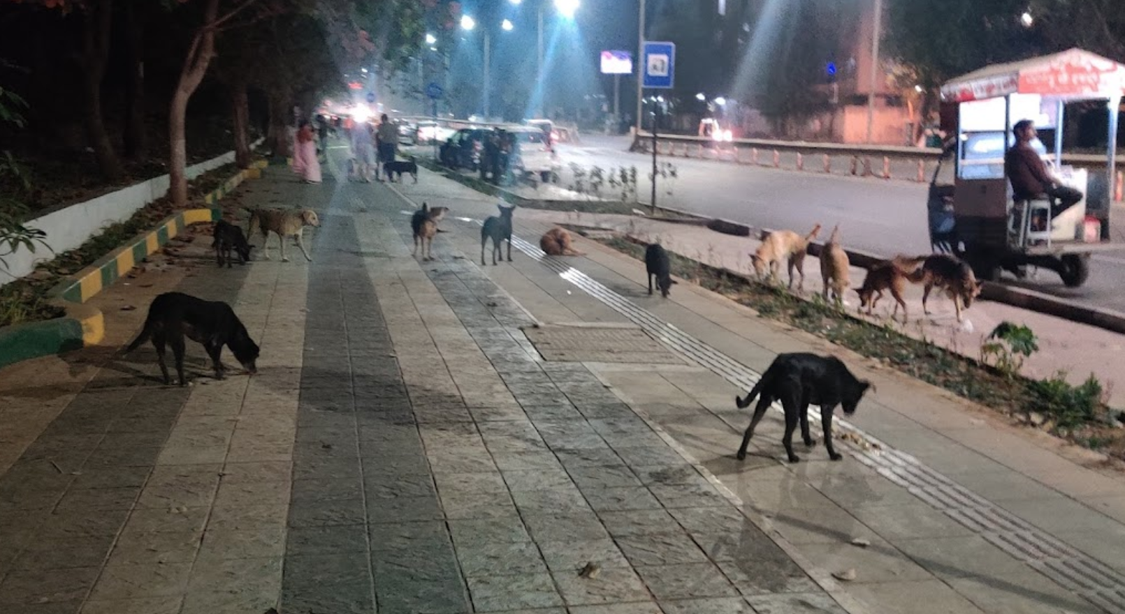 Pashan Sus road