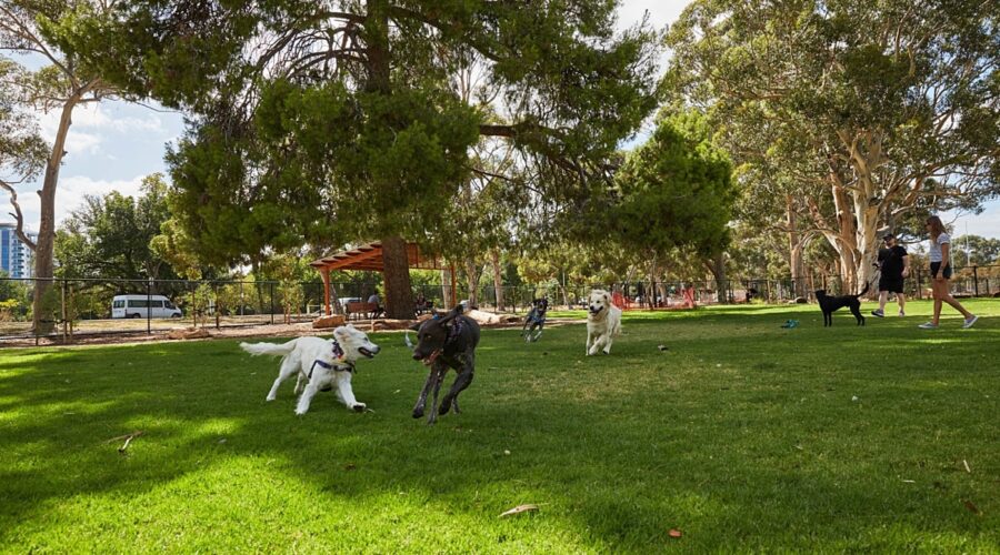 pet friendly dog parks in Pune