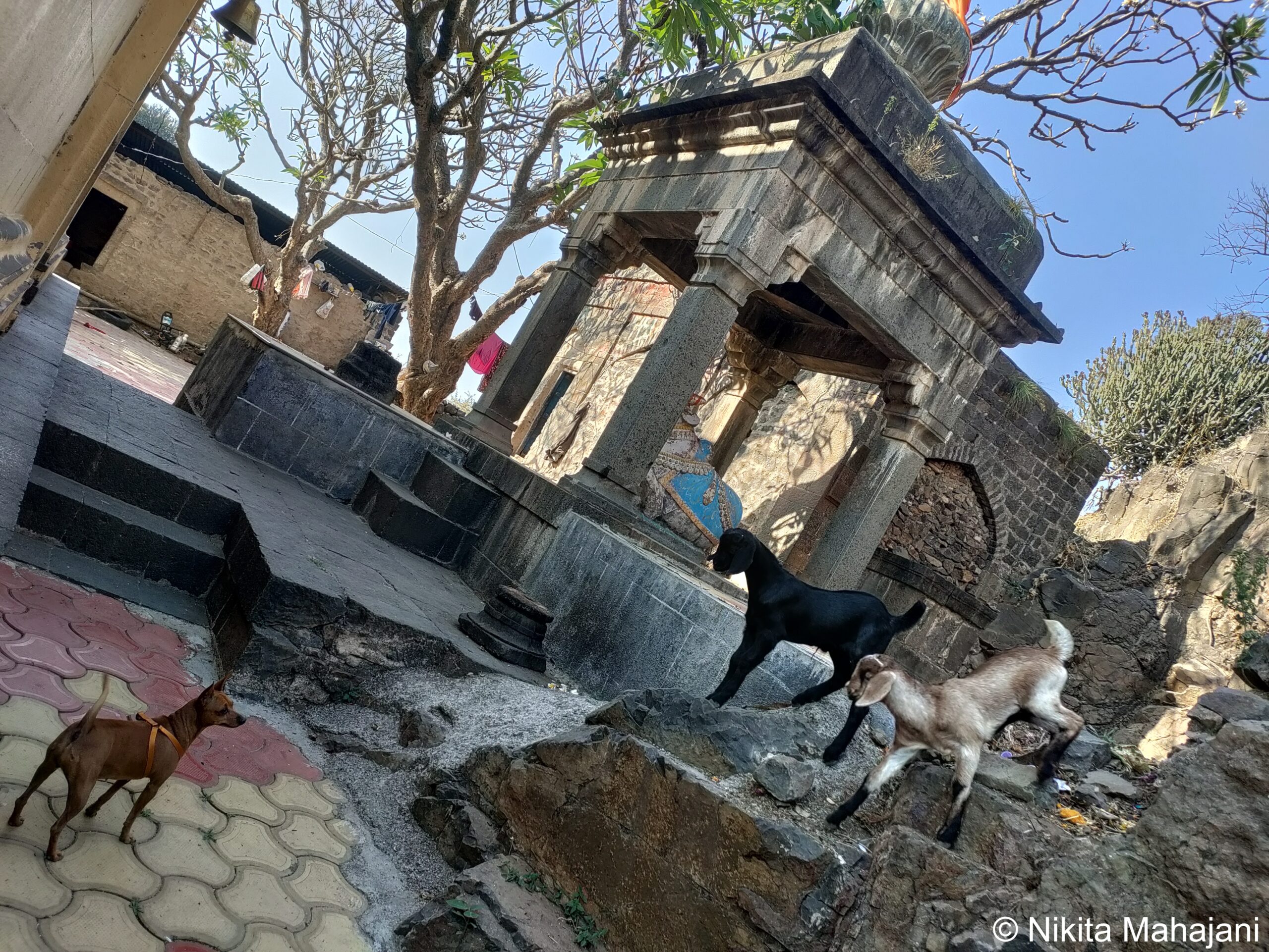 Siddheshwar Mandir, Siddheshwarwadi.