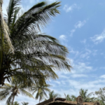 belagavi