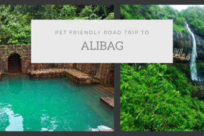 ALIBAG DAY 2