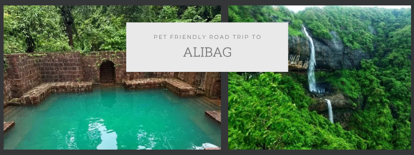 ALIBAG DAY 2