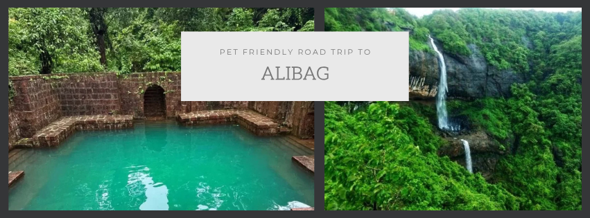 ALIBAG DAY 2
