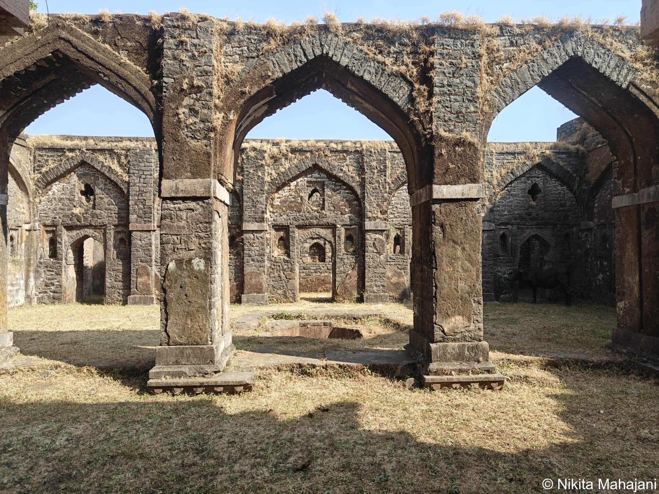 Hathi Mahal, Mandu