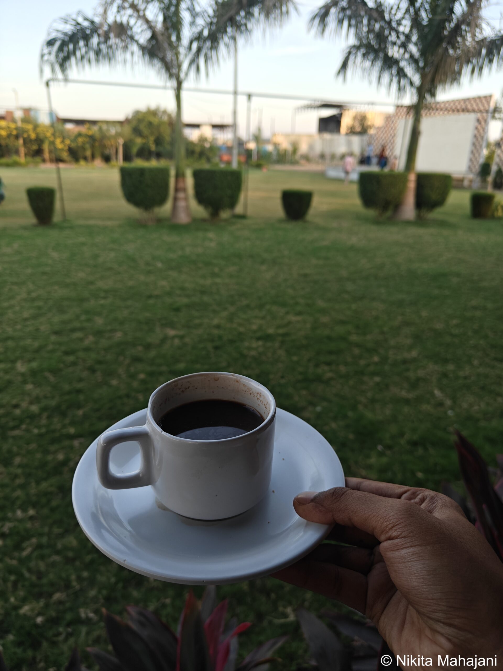 Hotel Veg Aroma, Shirpur.