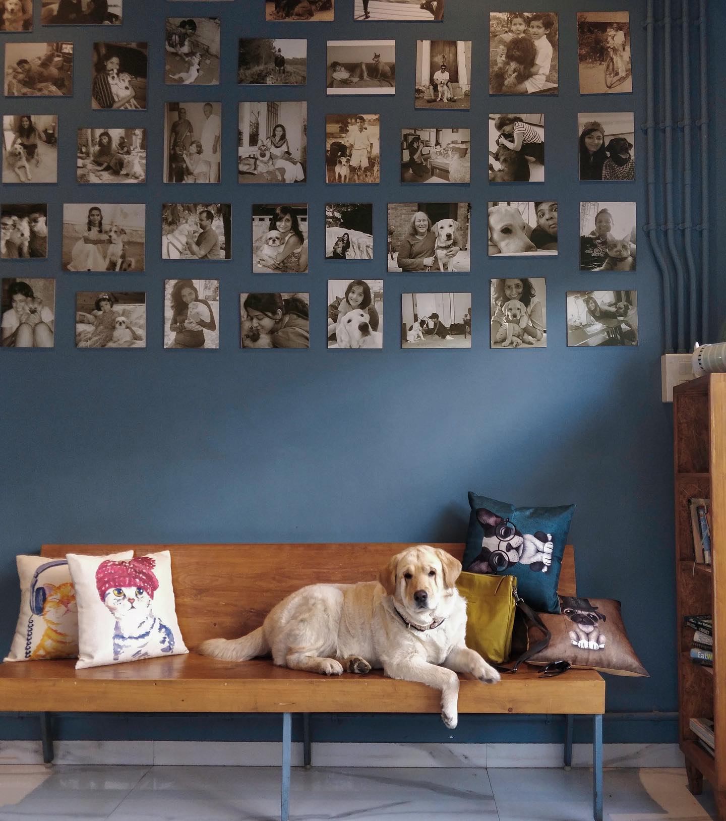 The Fat Labrador Cafe, Bavdhan.