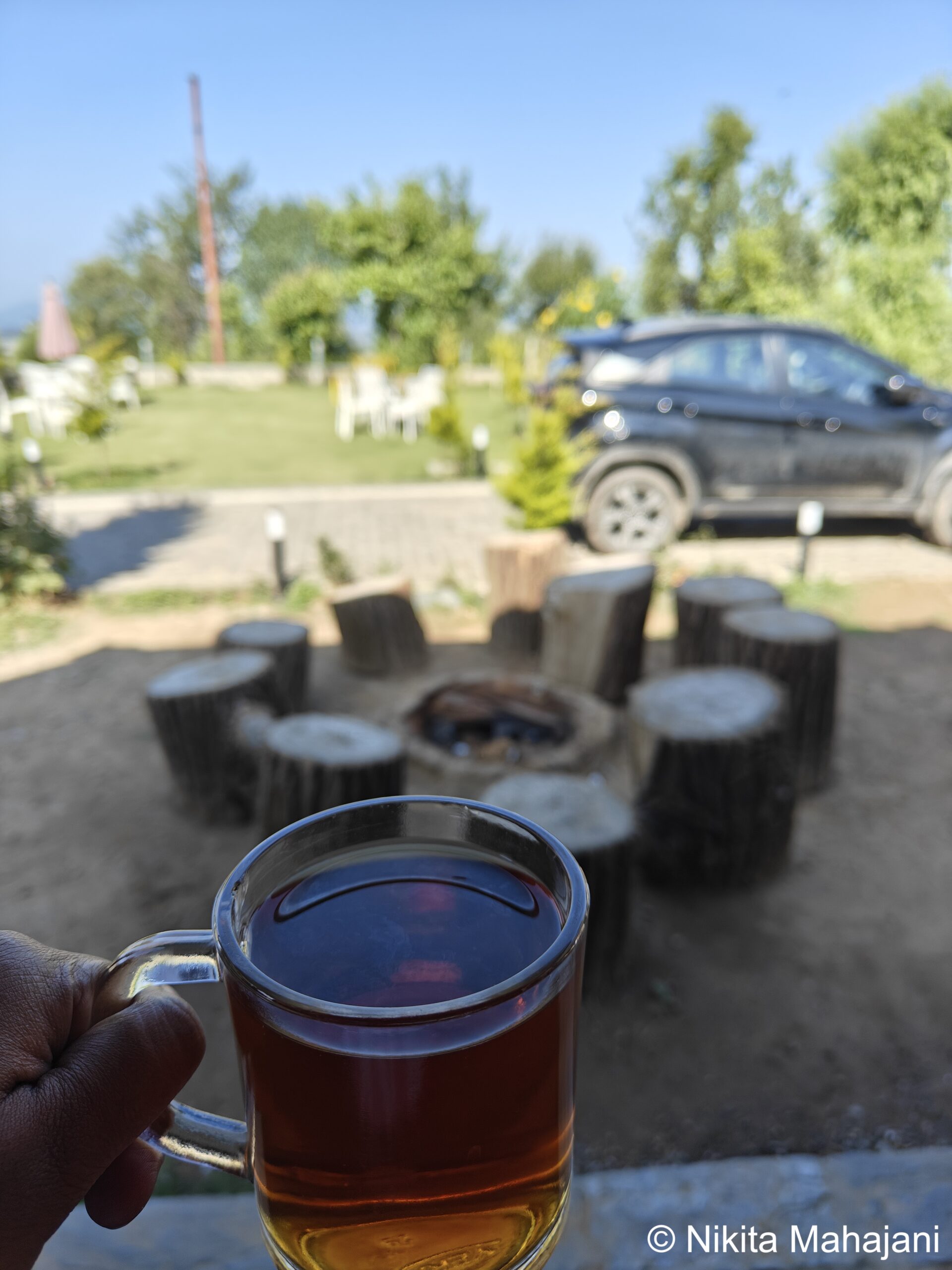 The Trippy Tribe Extended, Bir.