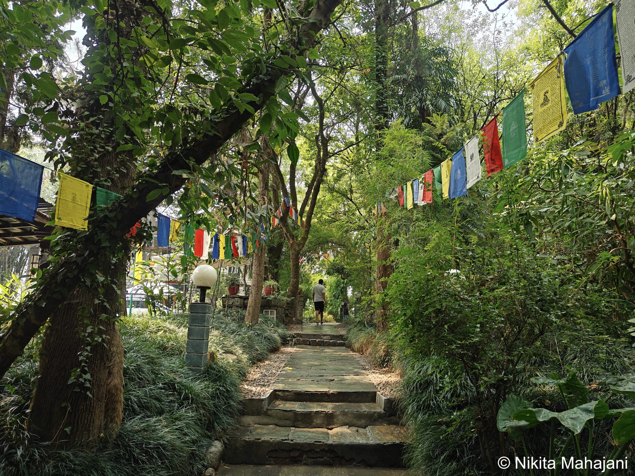 Norbulingka Institute, Dharamshala.