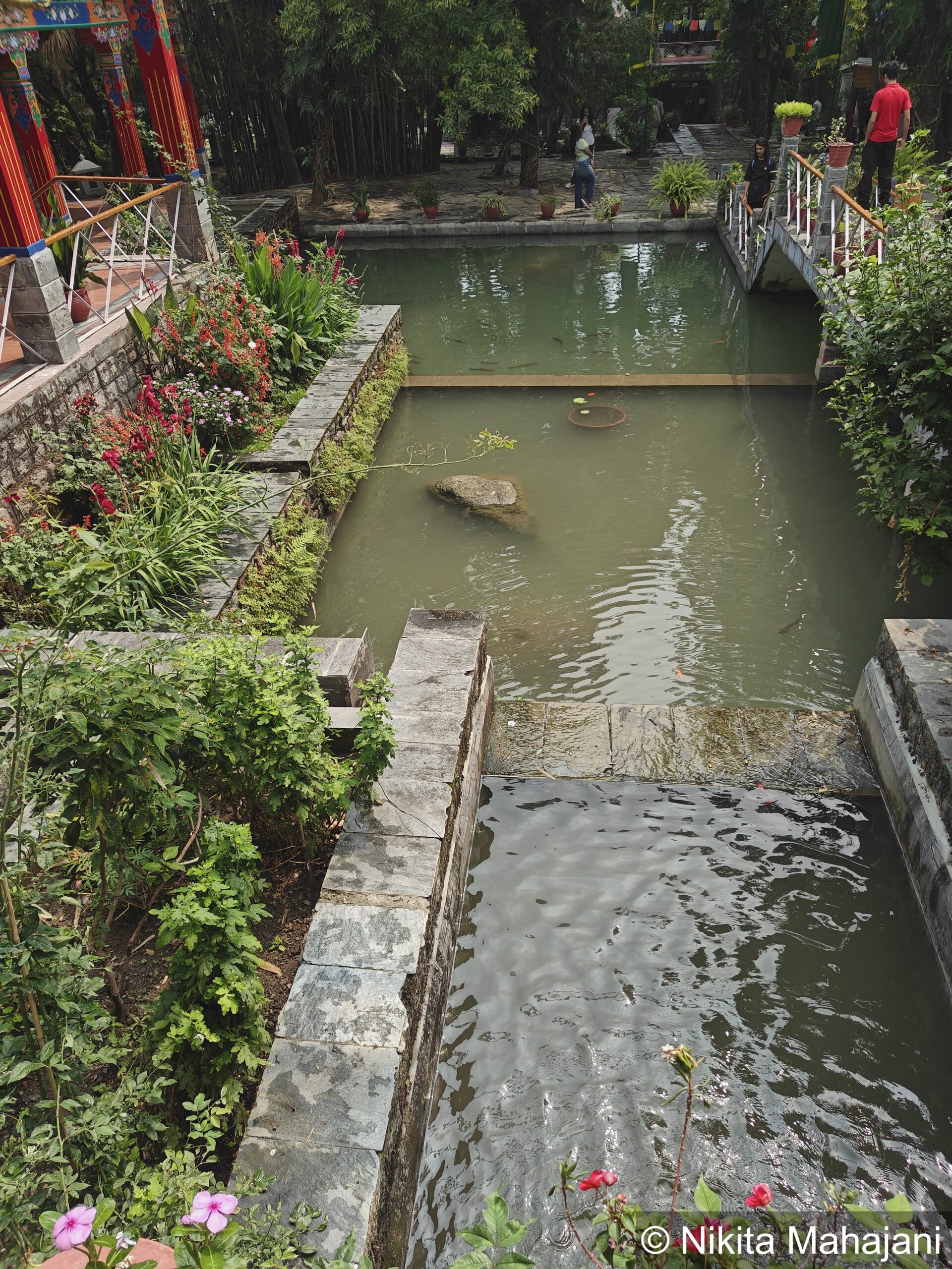 Norbulingka Institute, Dharamshala.