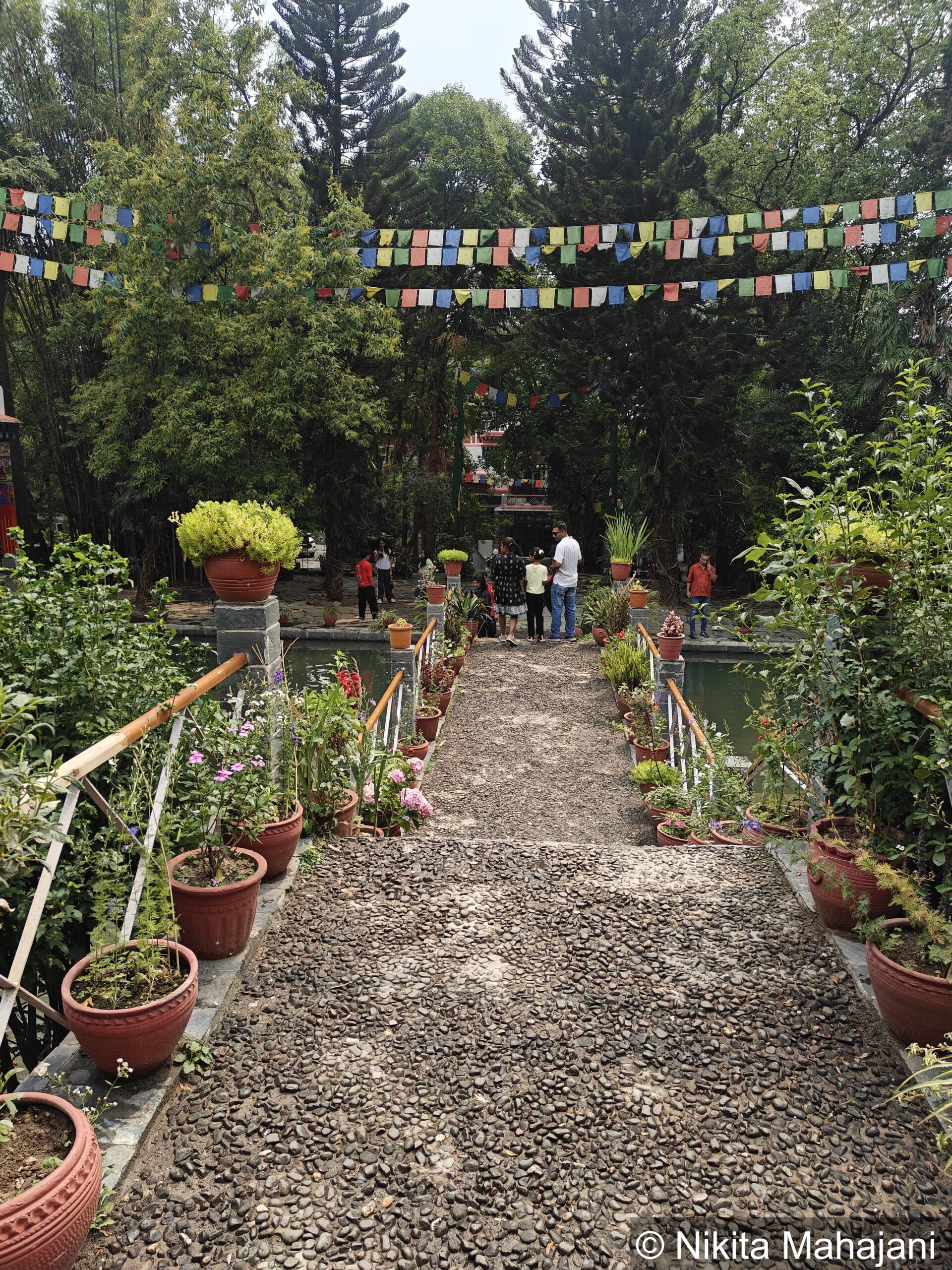 Norbulingka Institute, Dharamshala.