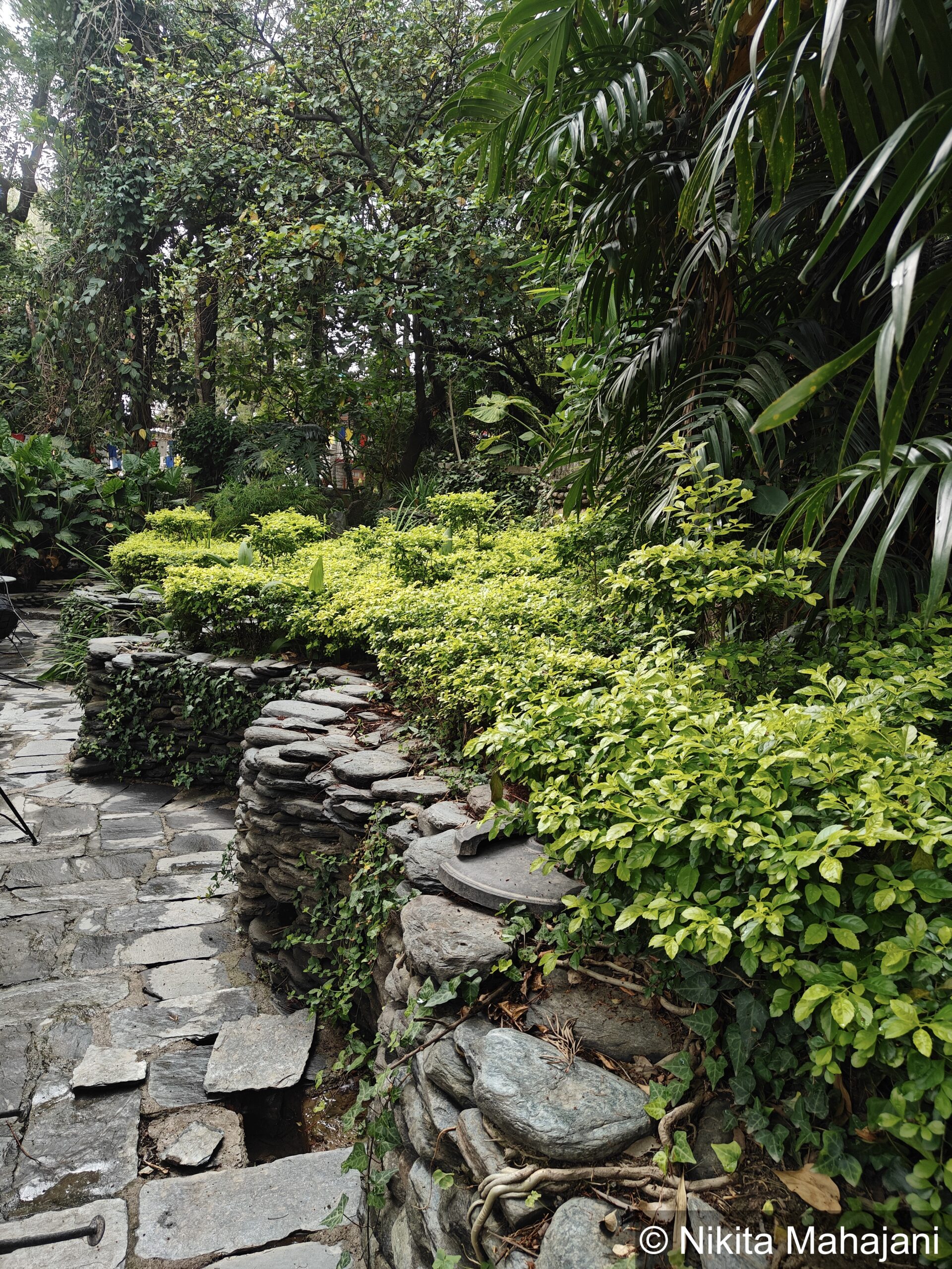 Norbulingka Institute, Dharamshala.