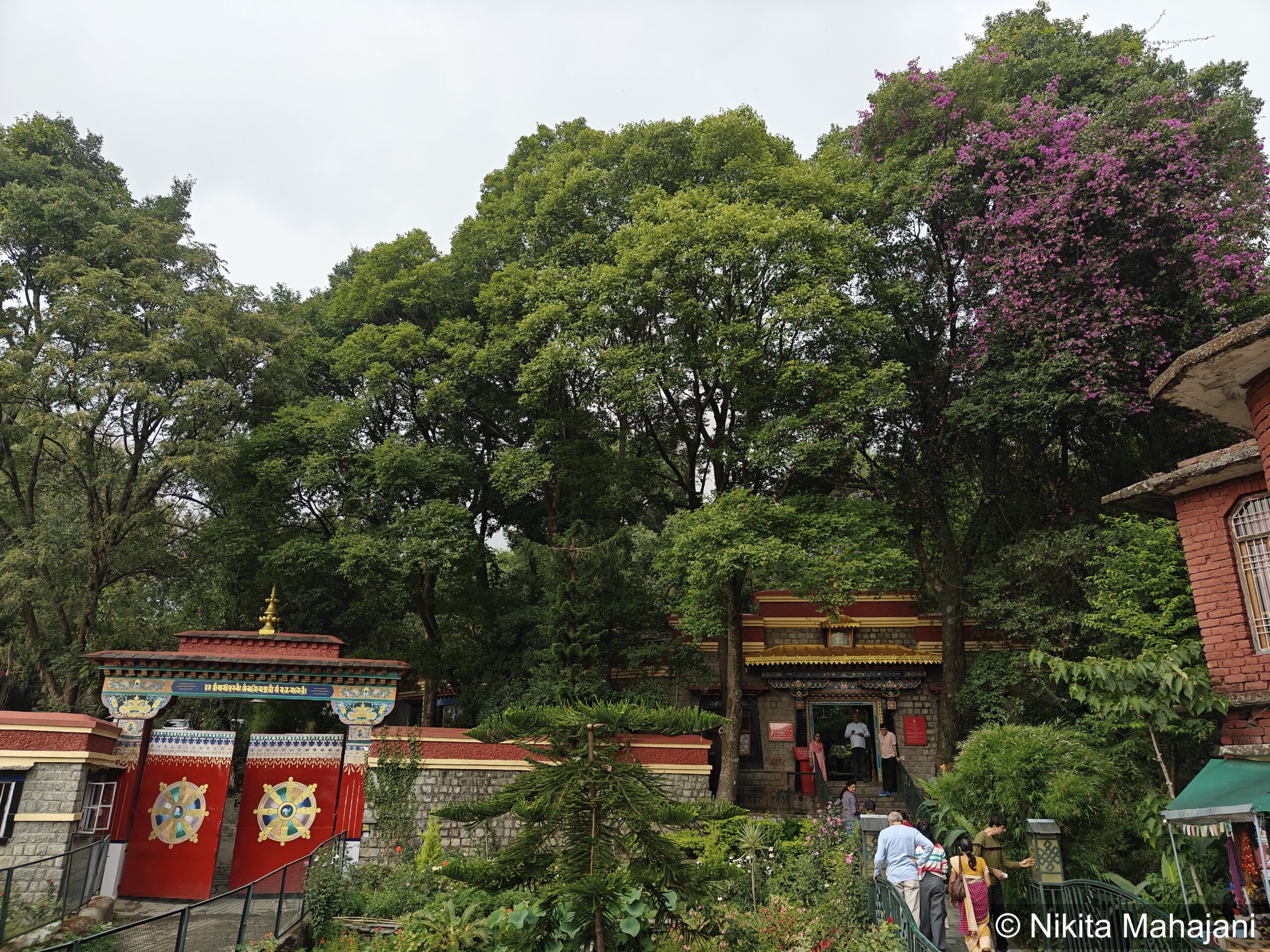 Norbulingka Institite, Dharamshala.