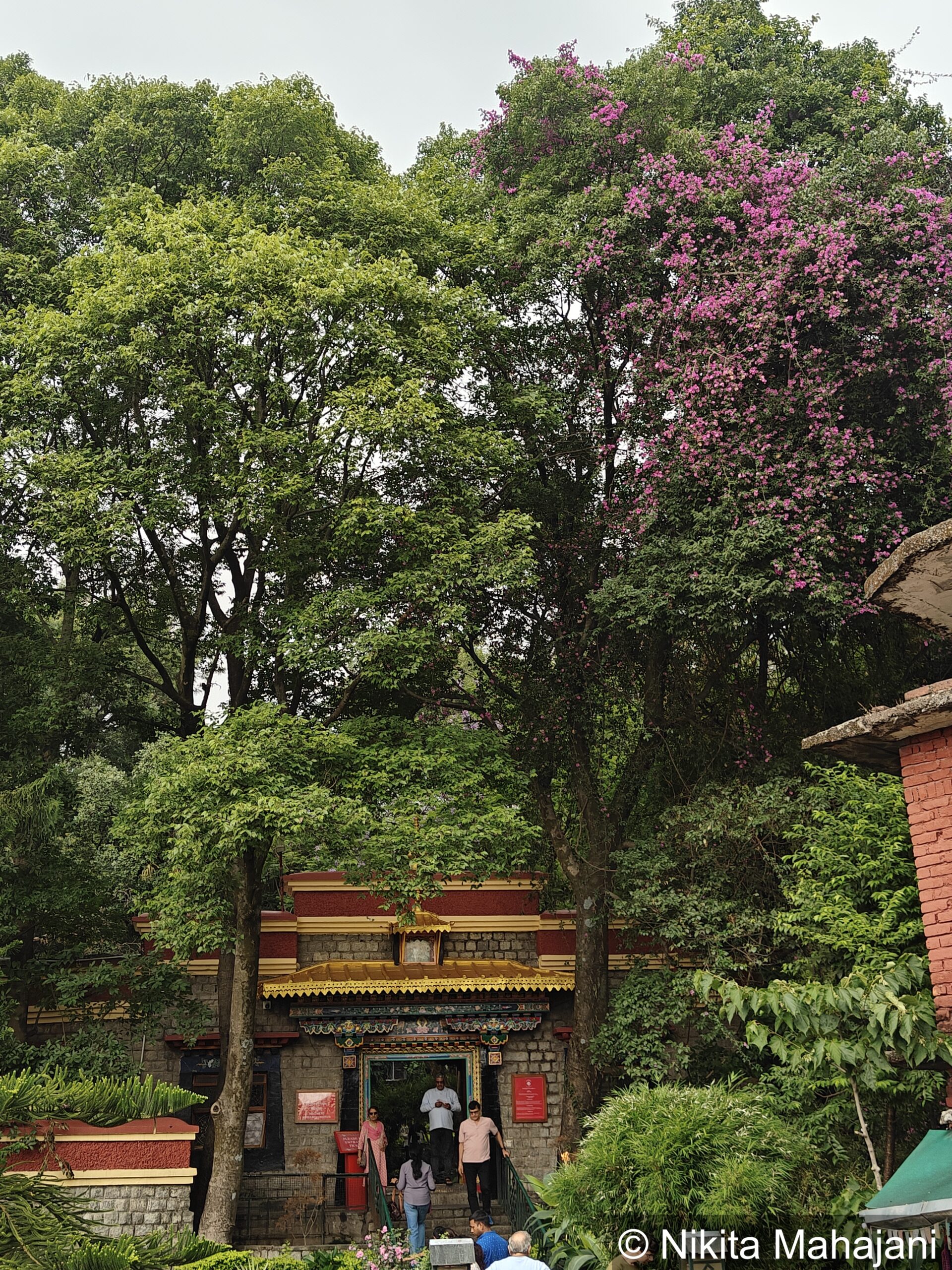Norbulingka Institute, Dharamshala.